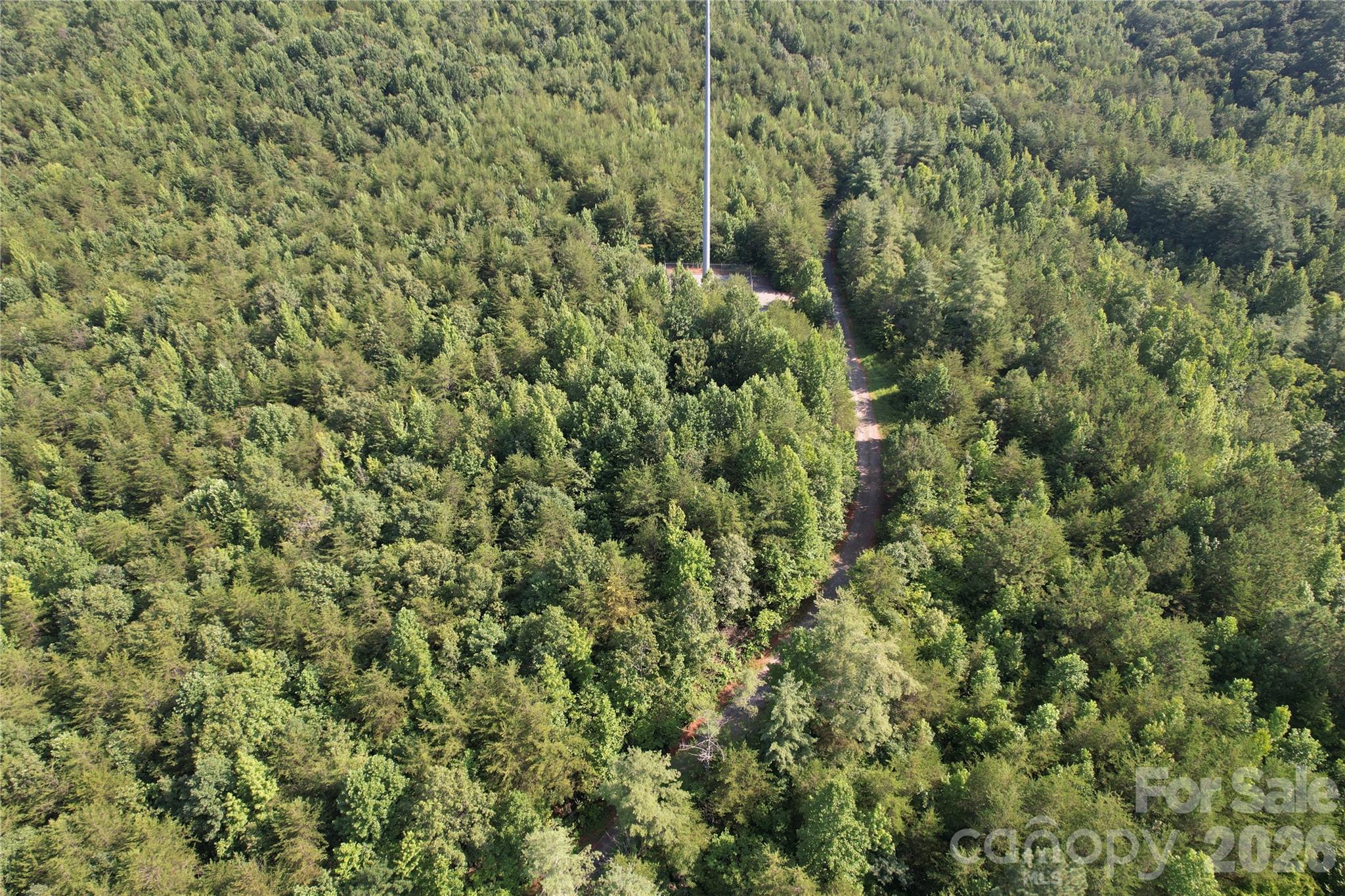 0 Camp Mccall Road Property Photo 30