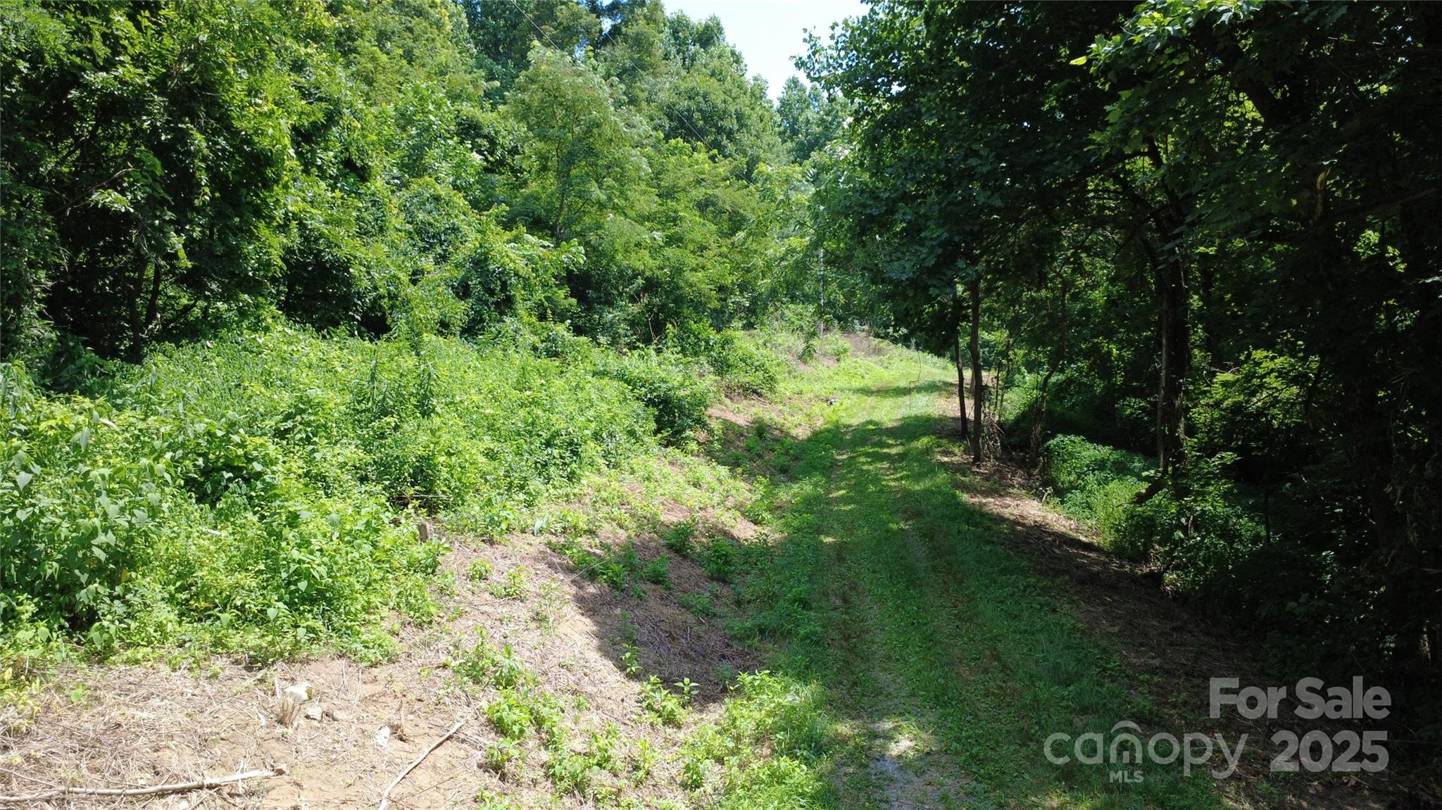 0 Poplar Ridge Lane Property Photo 3