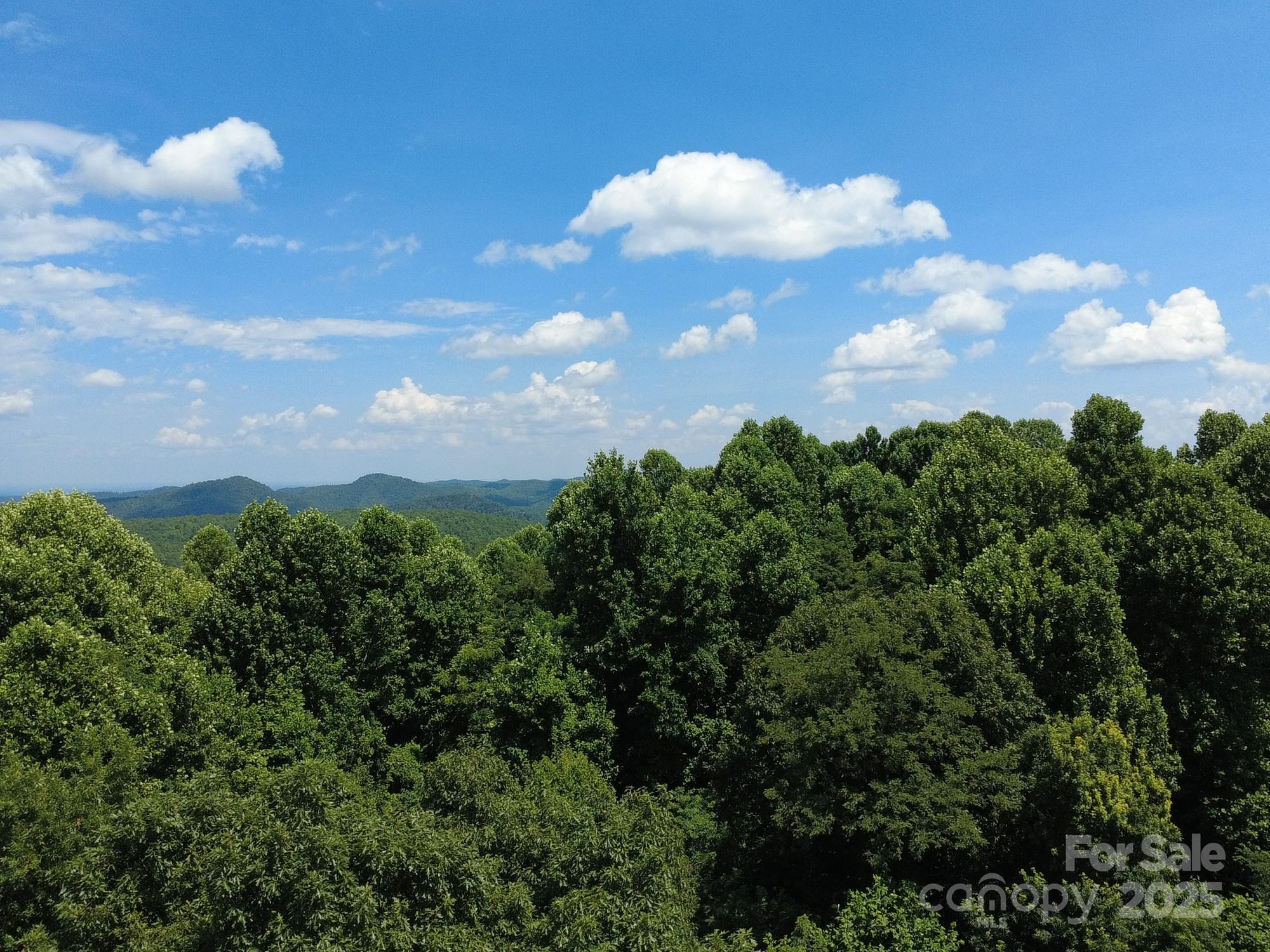 0 Poplar Ridge Lane Property Photo 4
