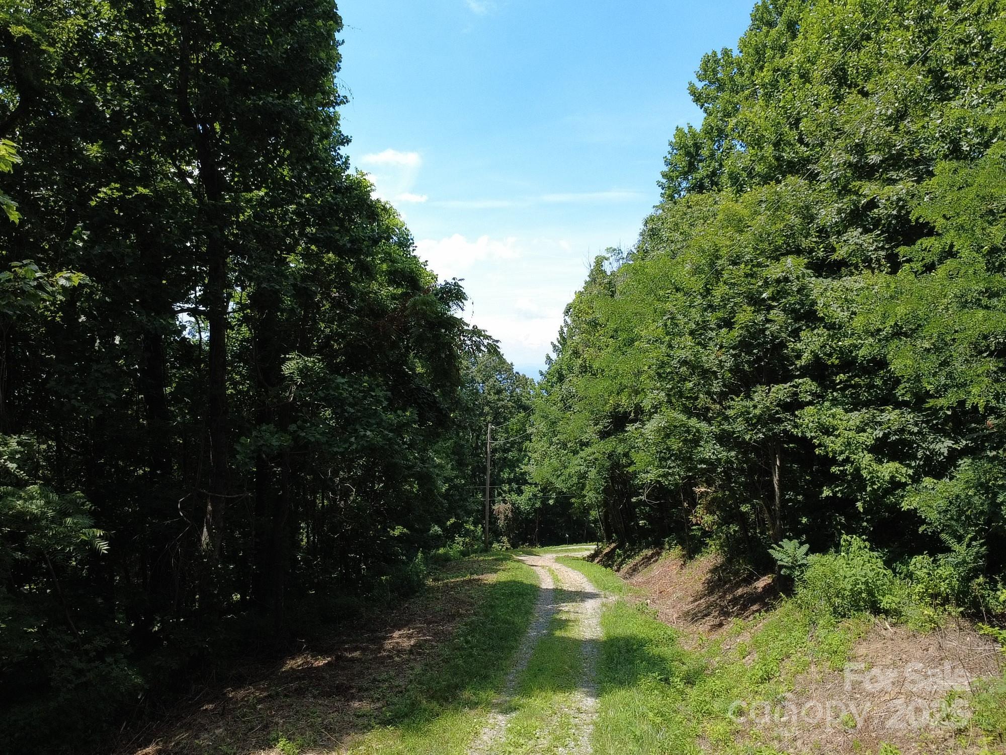 0 Poplar Ridge Lane Property Photo 8
