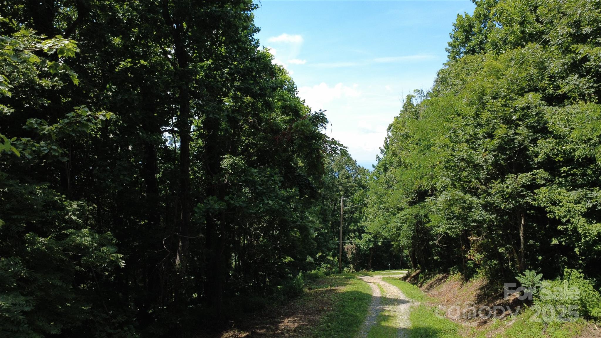 0 Poplar Ridge Lane Property Photo 9