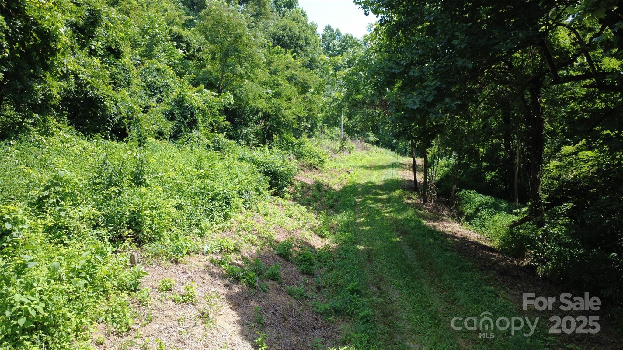 0 Poplar Ridge Lane Property Photo 10