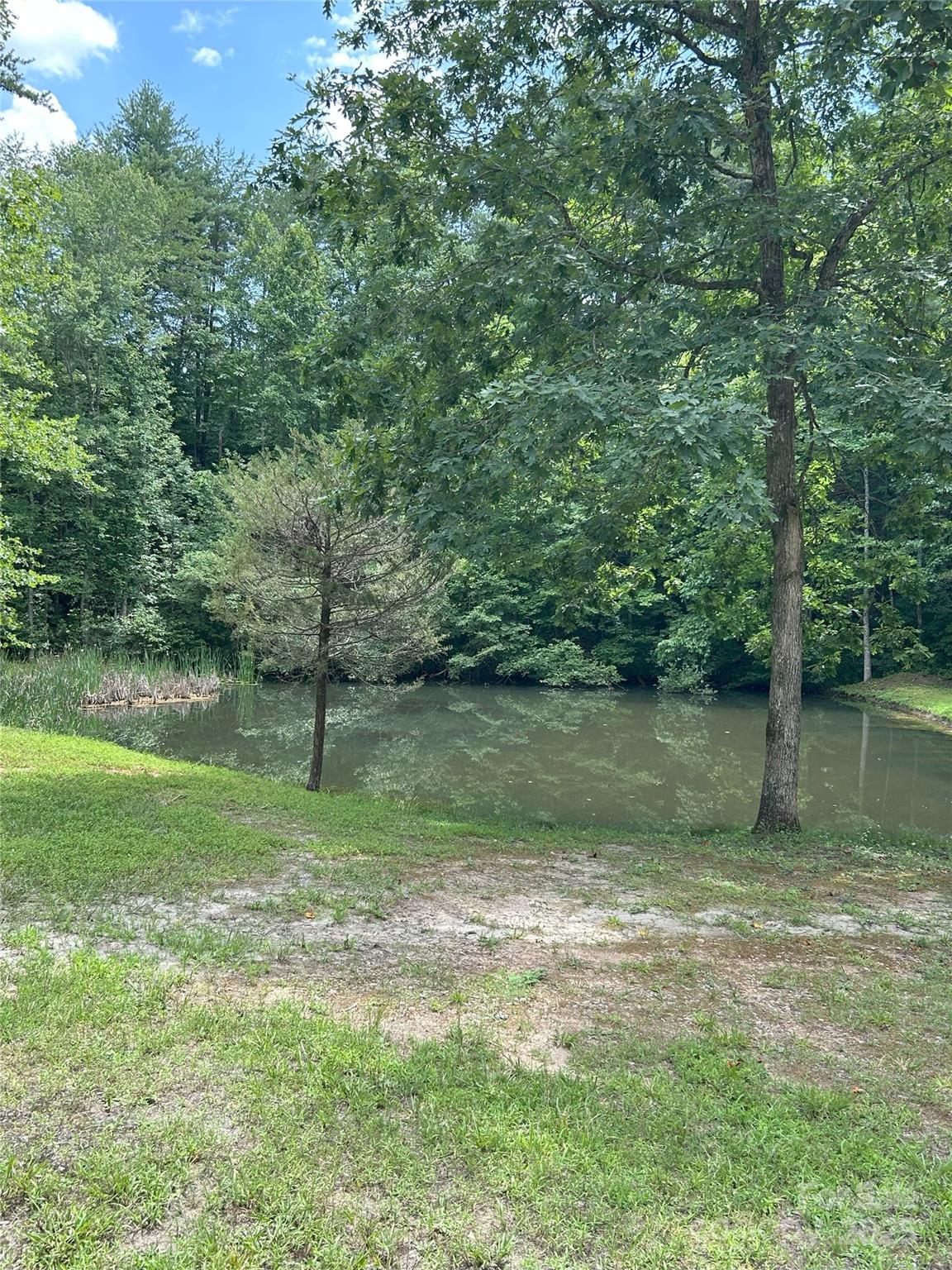 0 Poplar Ridge Lane Property Photo 12