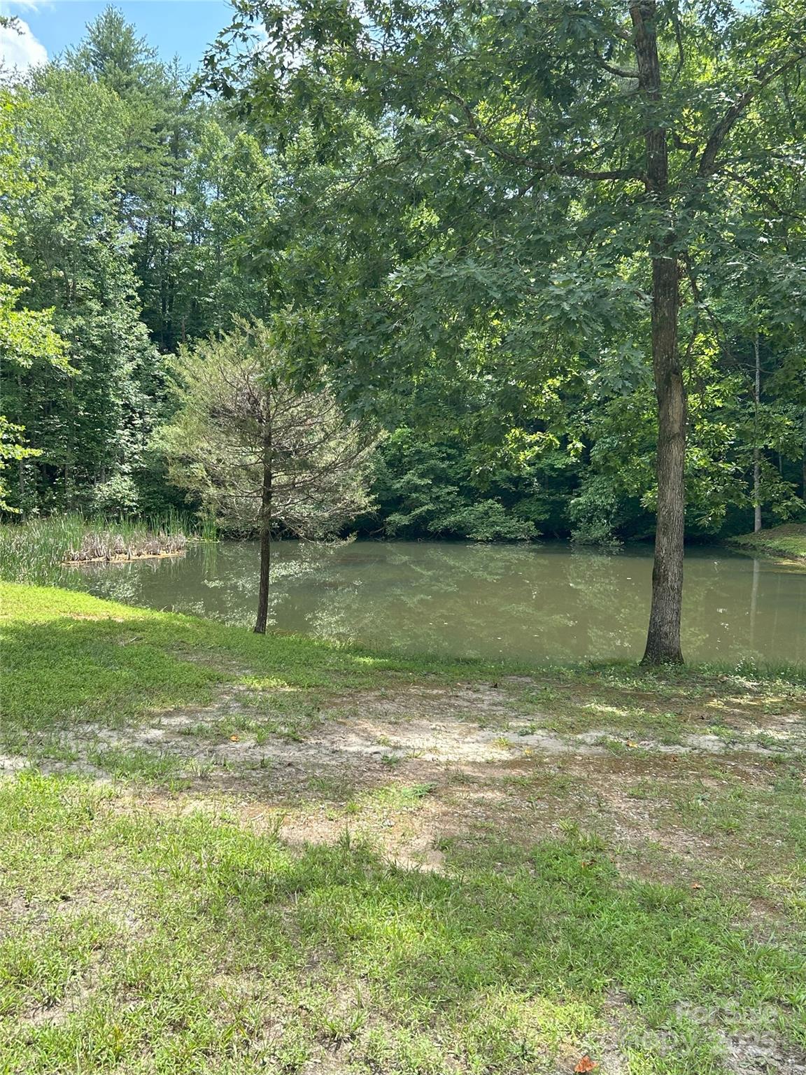 0 Poplar Ridge Lane Property Photo 14