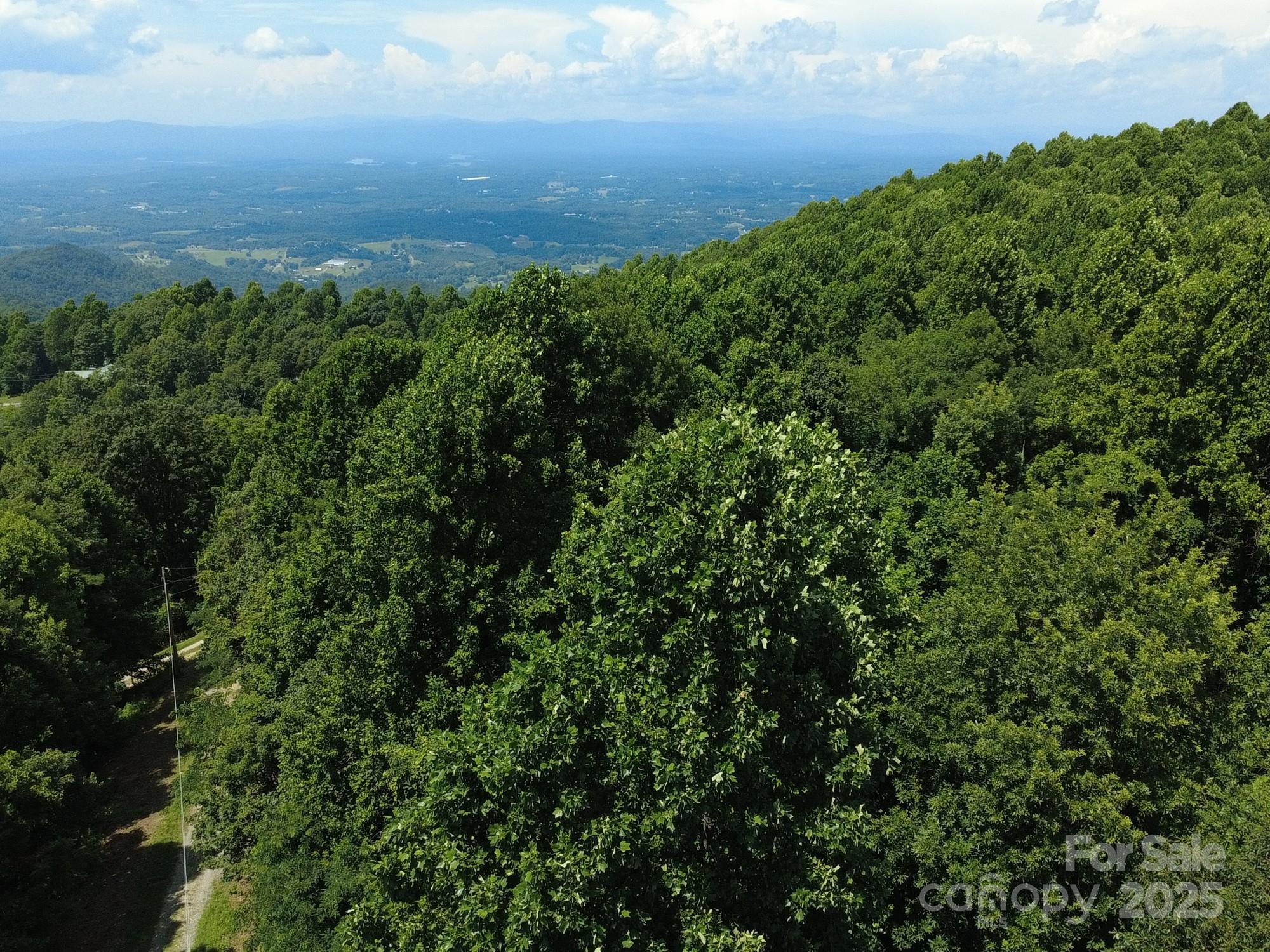 0 Poplar Ridge Lane Property Photo 15