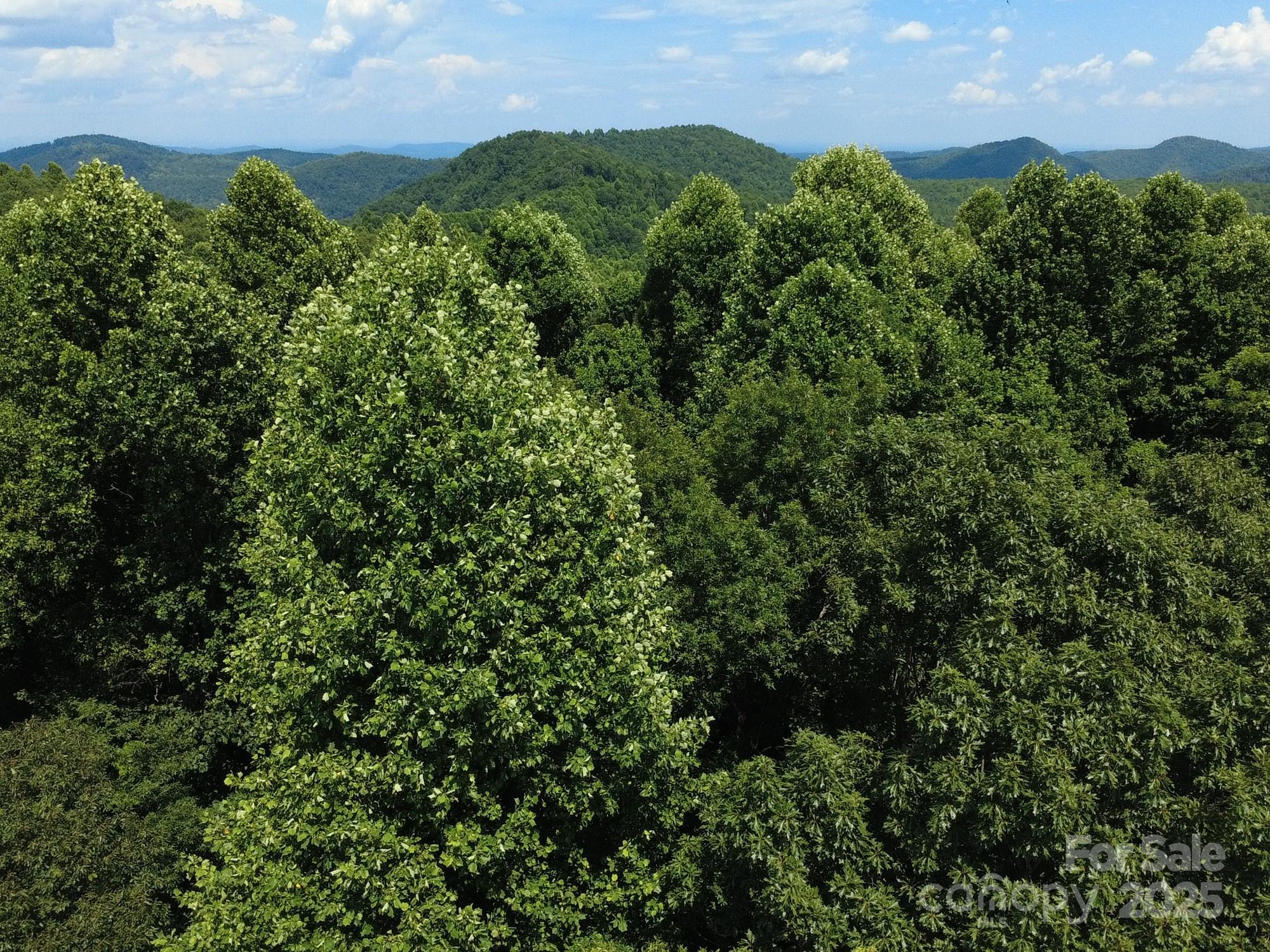 0 Poplar Ridge Lane Property Photo 16