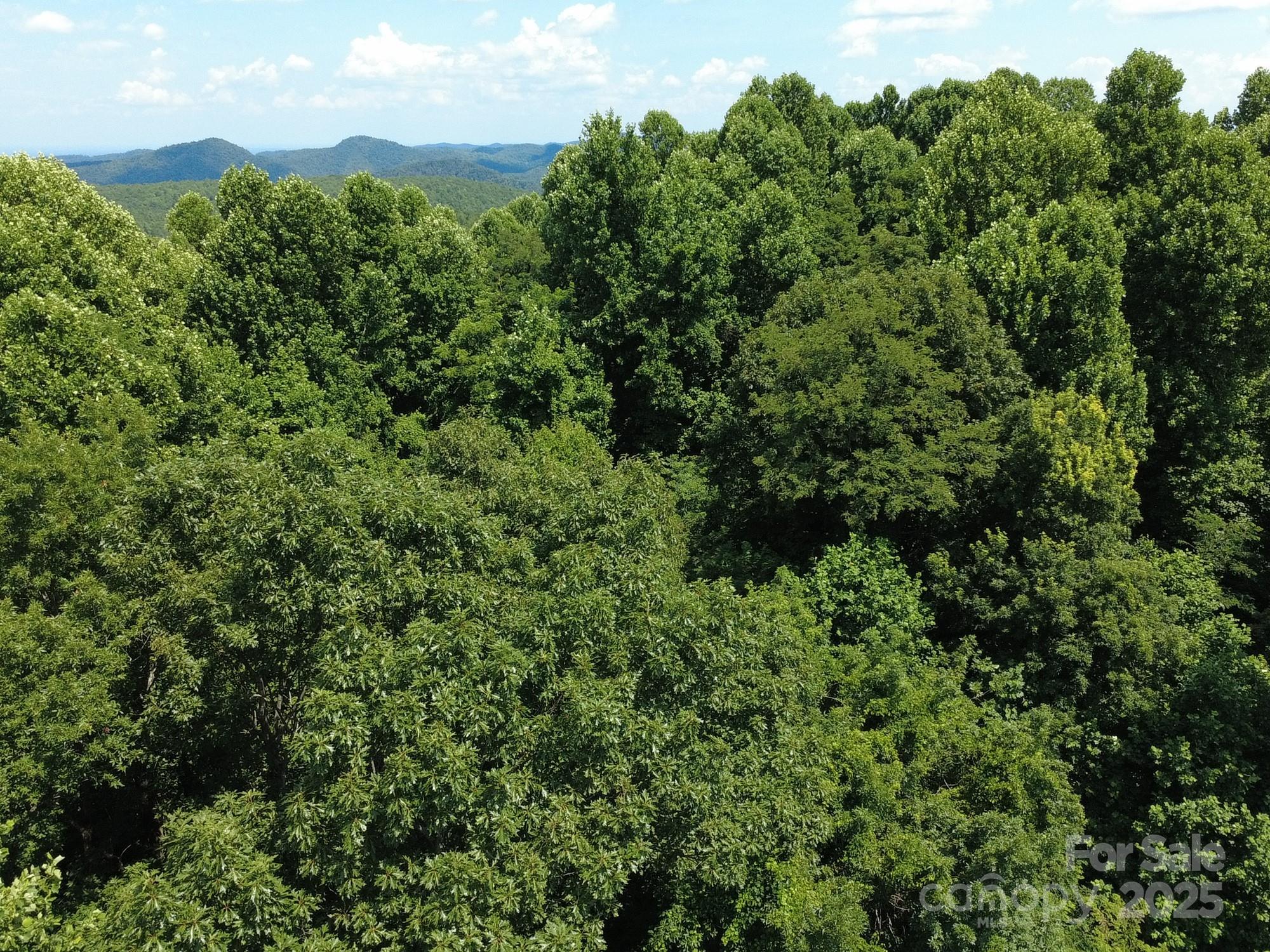 0 Poplar Ridge Lane Property Photo 17