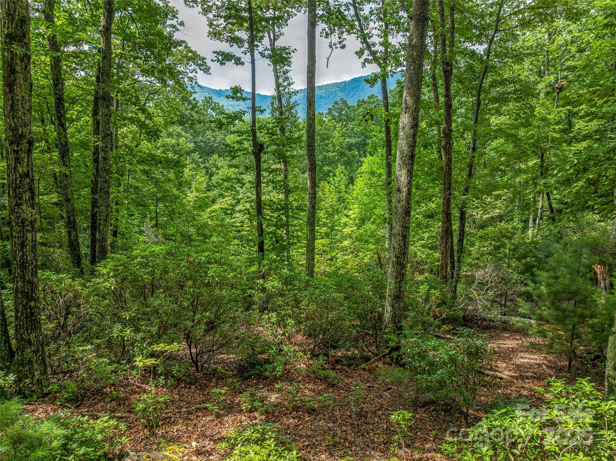 72 Smokey Ridge Trail 196 Property Photo