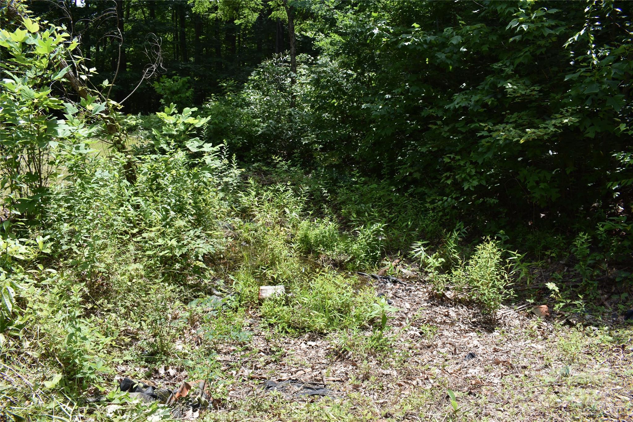 50 Firefly Springs Lane Property Photo 19