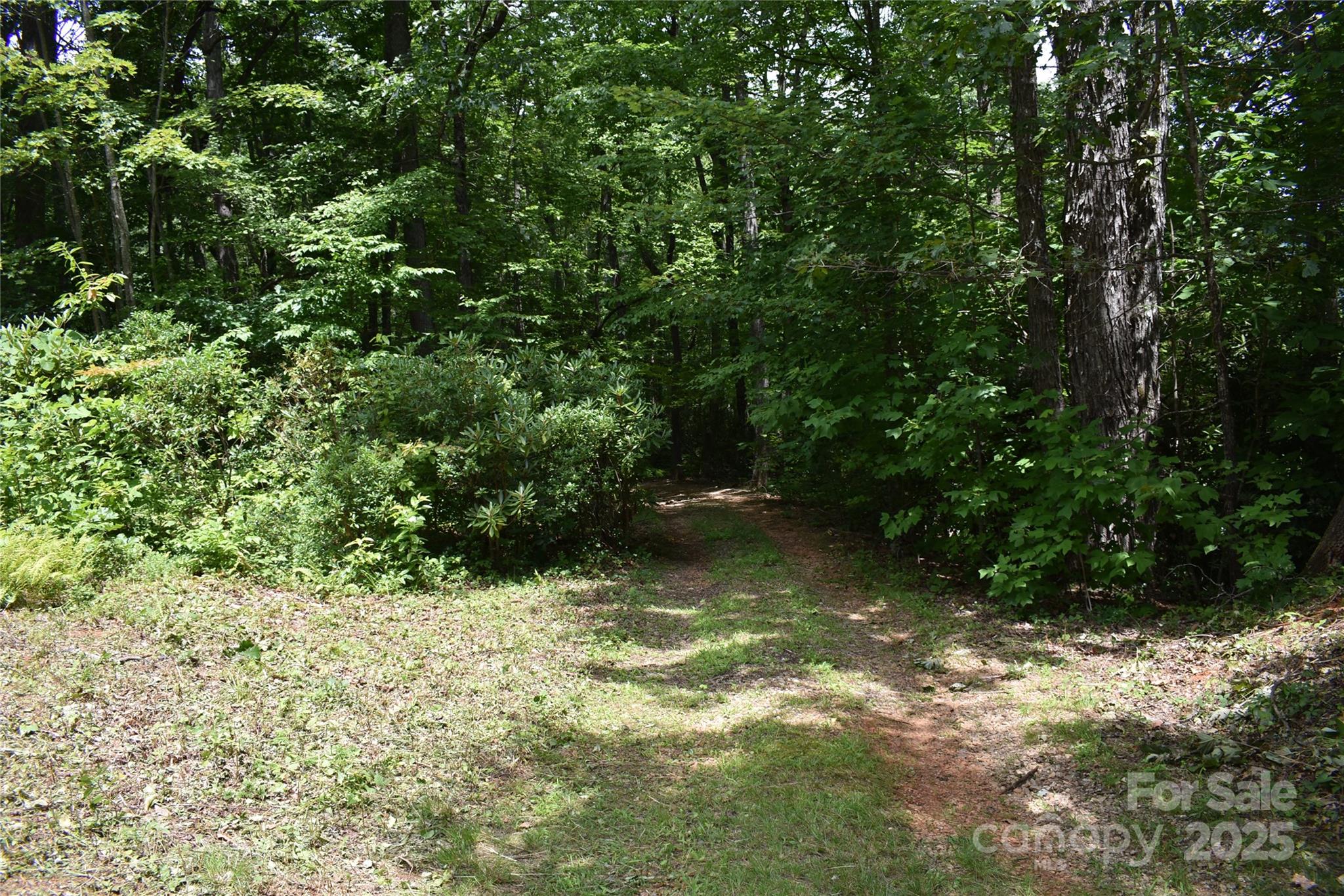 50 Firefly Springs Lane Property Photo 20