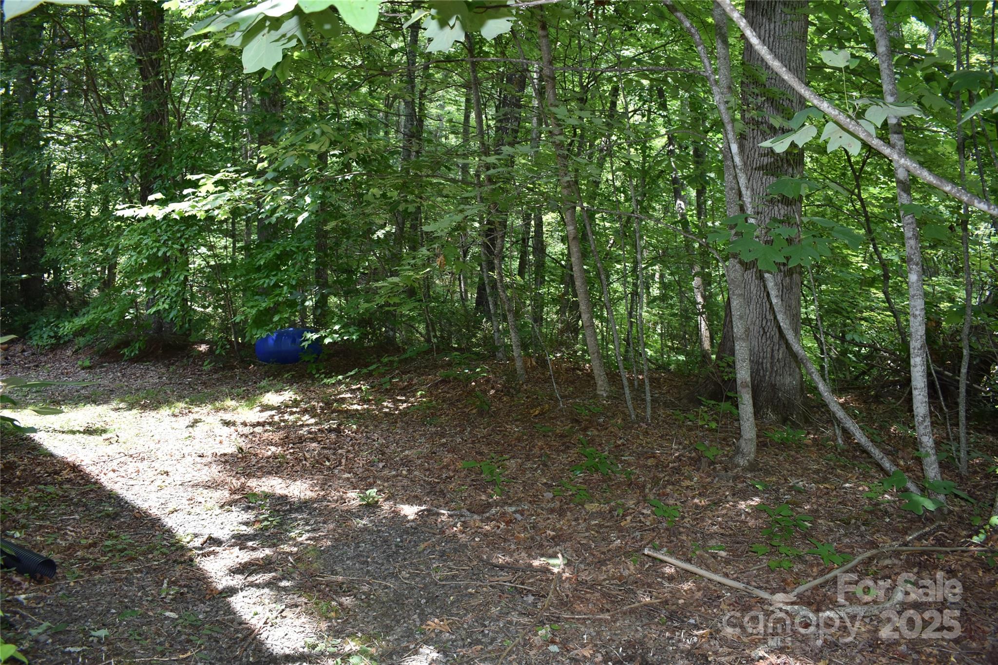 50 Firefly Springs Lane Property Photo 23