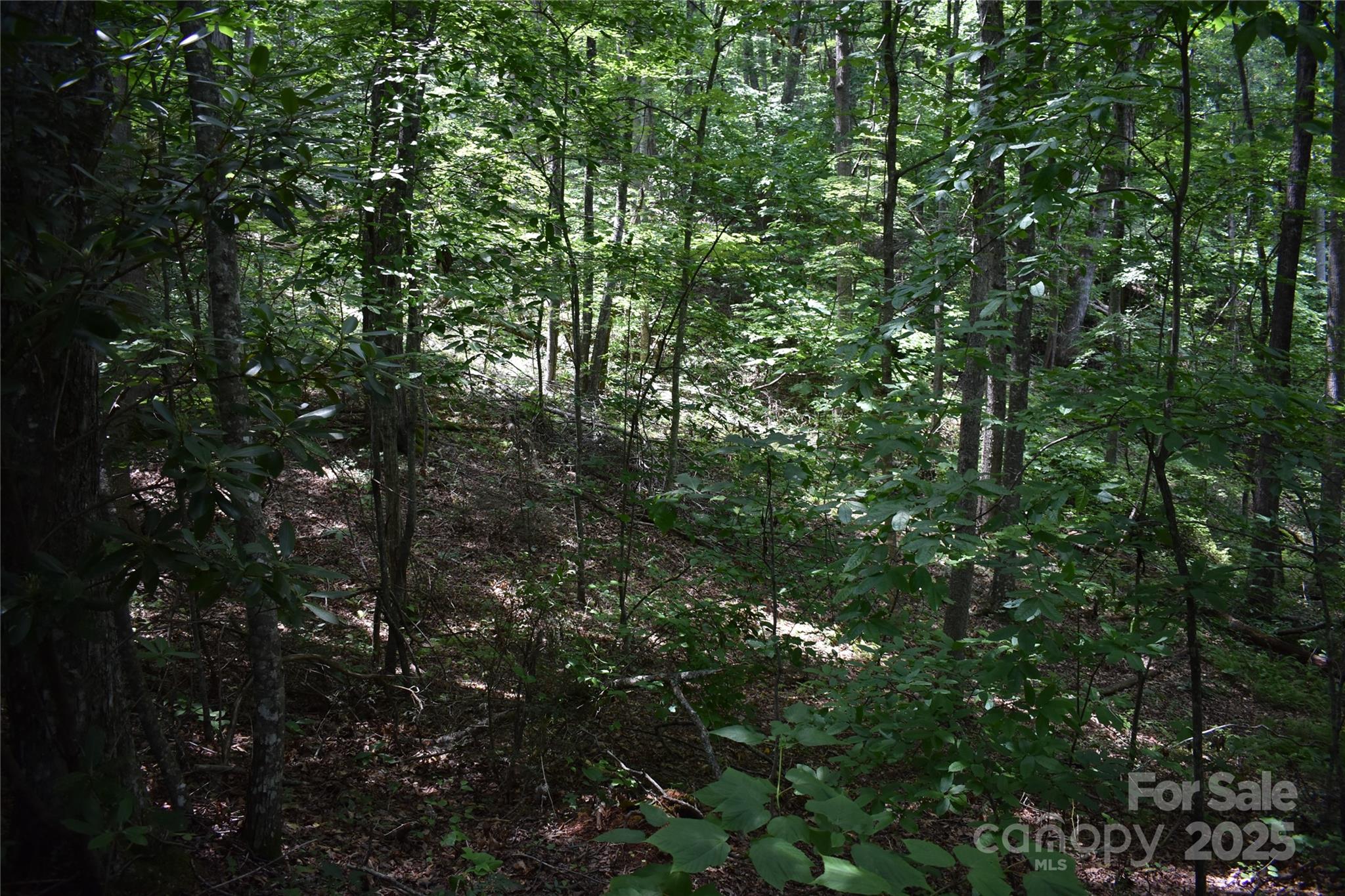 50 Firefly Springs Lane Property Photo 25