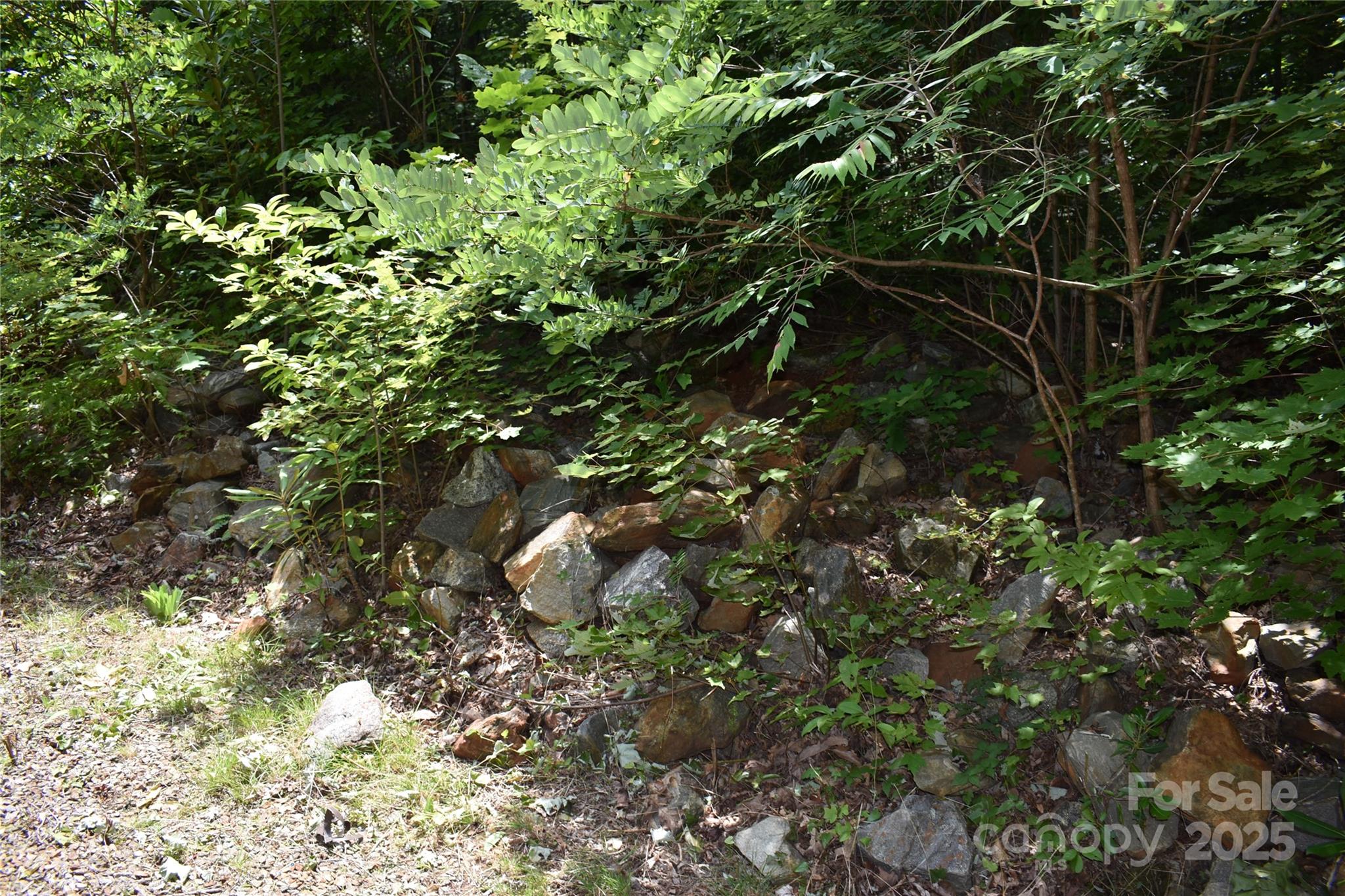 50 Firefly Springs Lane Property Photo 31