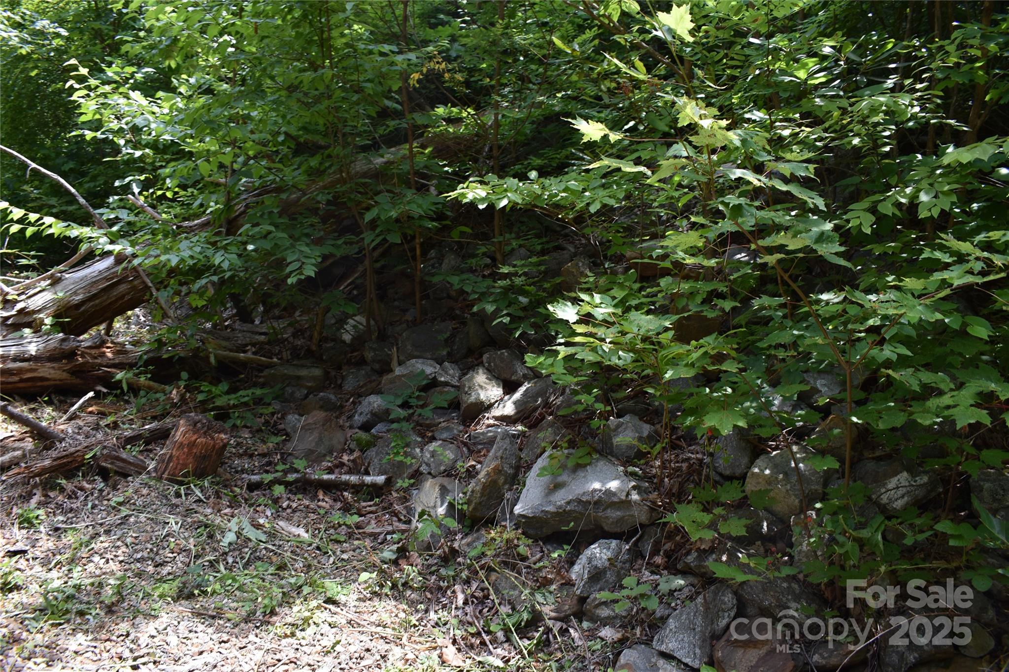 50 Firefly Springs Lane Property Photo 32