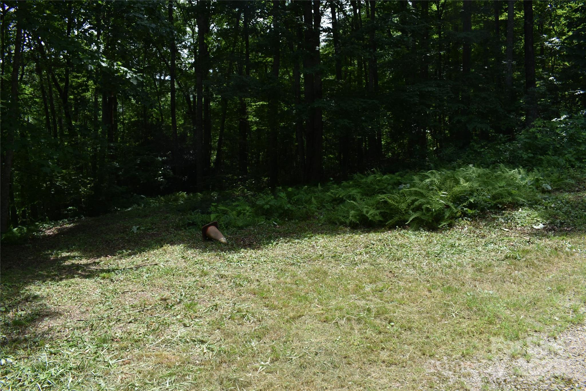 50 Firefly Springs Lane Property Photo 33