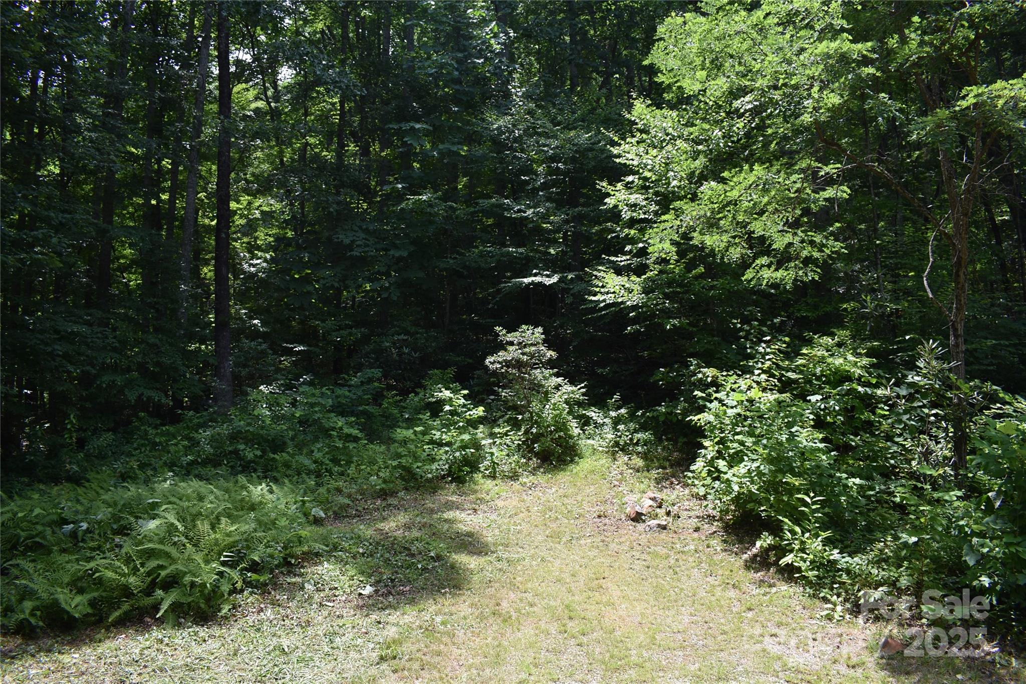 50 Firefly Springs Lane Property Photo 35