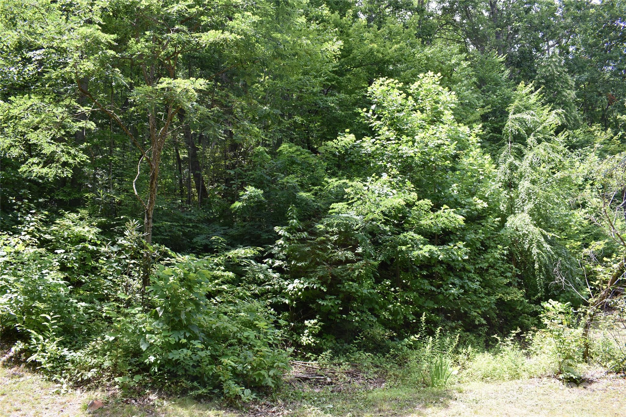50 Firefly Springs Lane Property Photo 36
