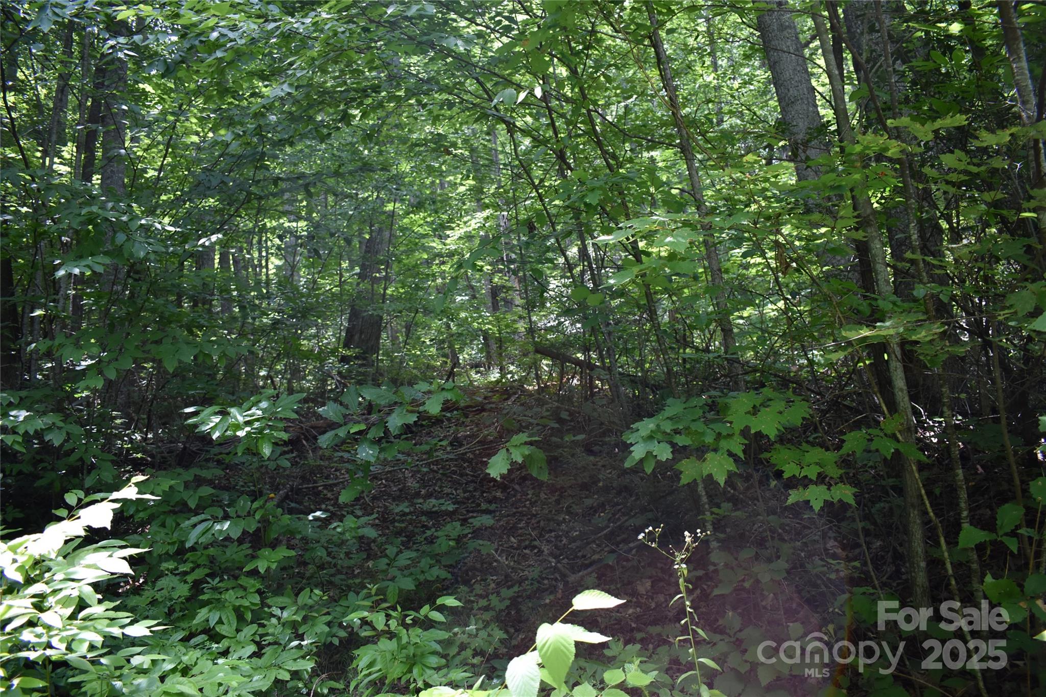 50 Firefly Springs Lane Property Photo 37
