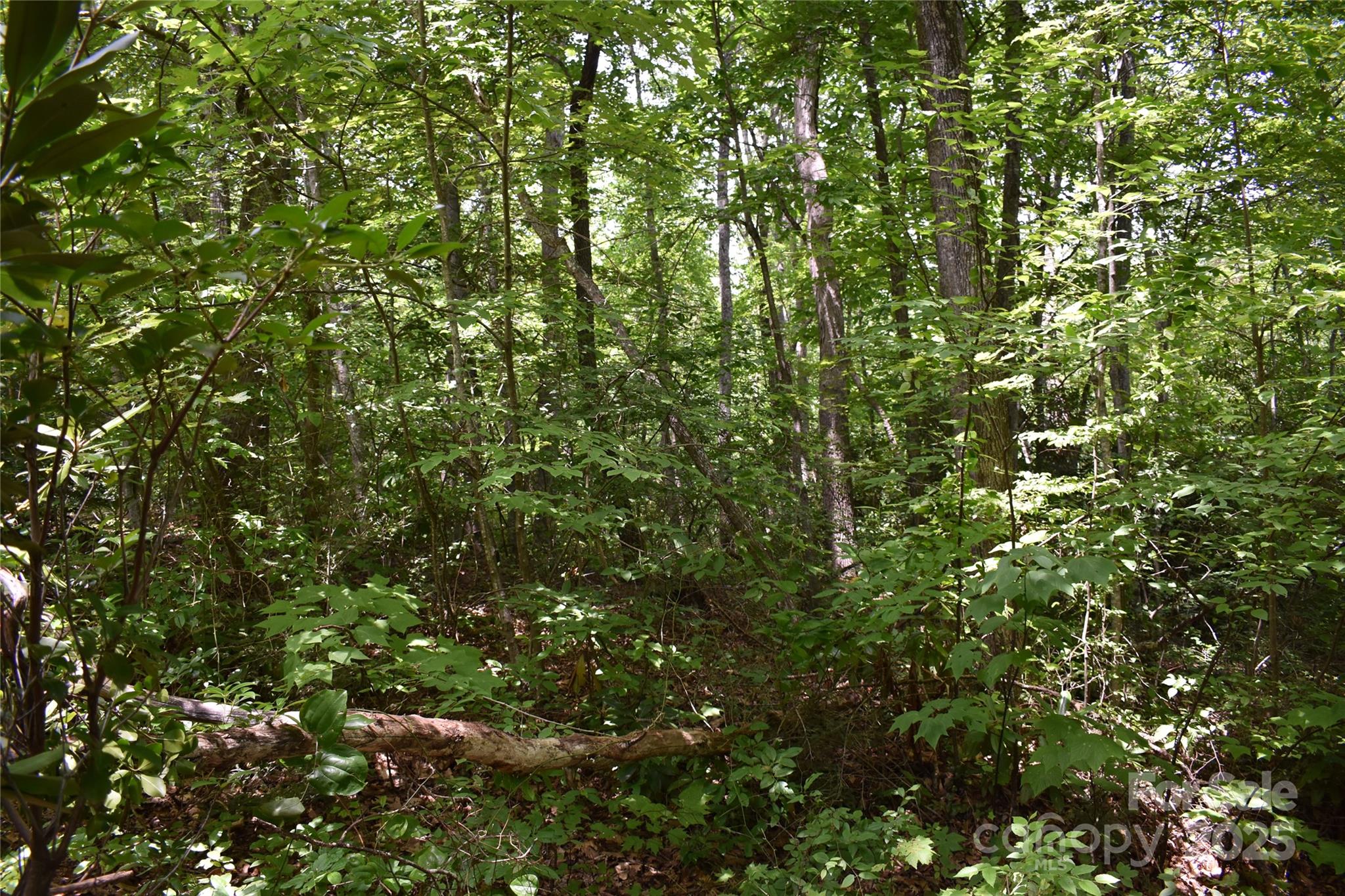 50 Firefly Springs Lane Property Photo 42