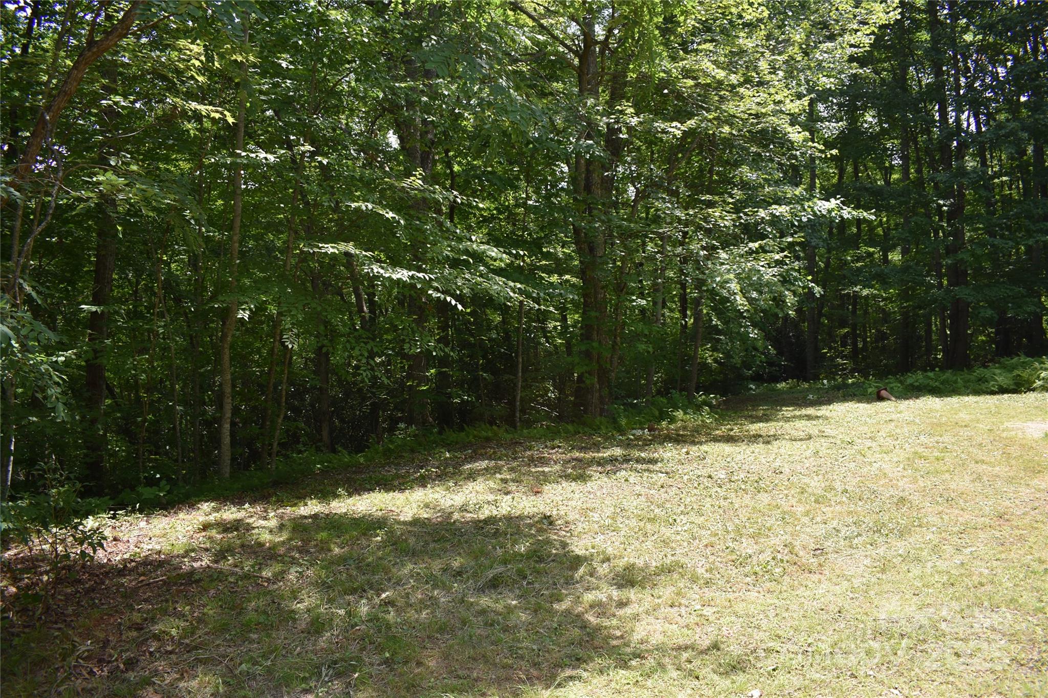 50 Firefly Springs Lane Property Photo 44