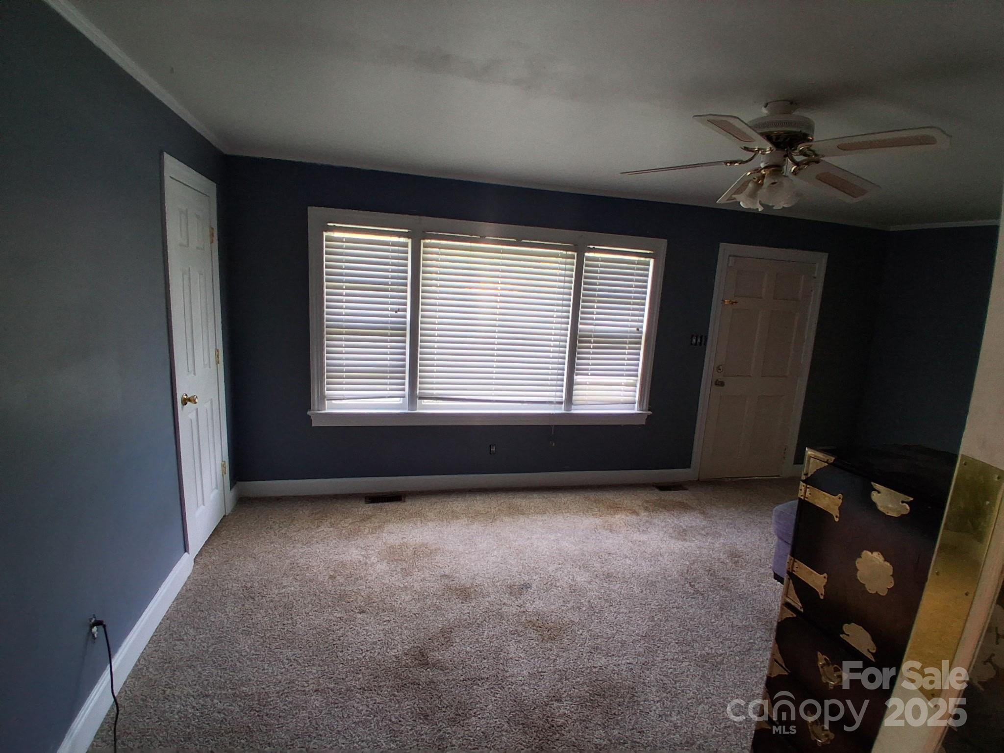 450 Camellia Street Property Photo 12