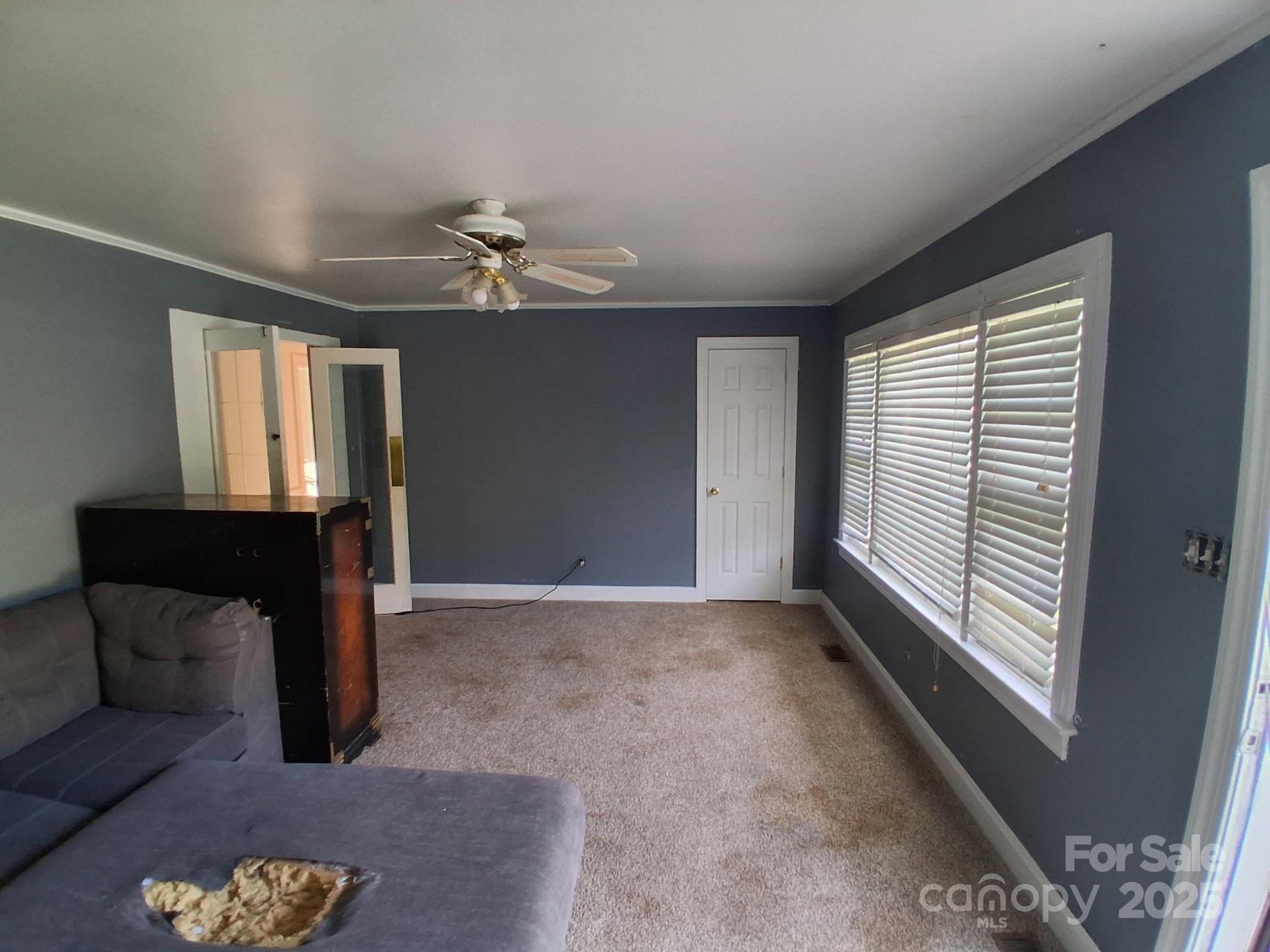 450 Camellia Street Property Photo 13