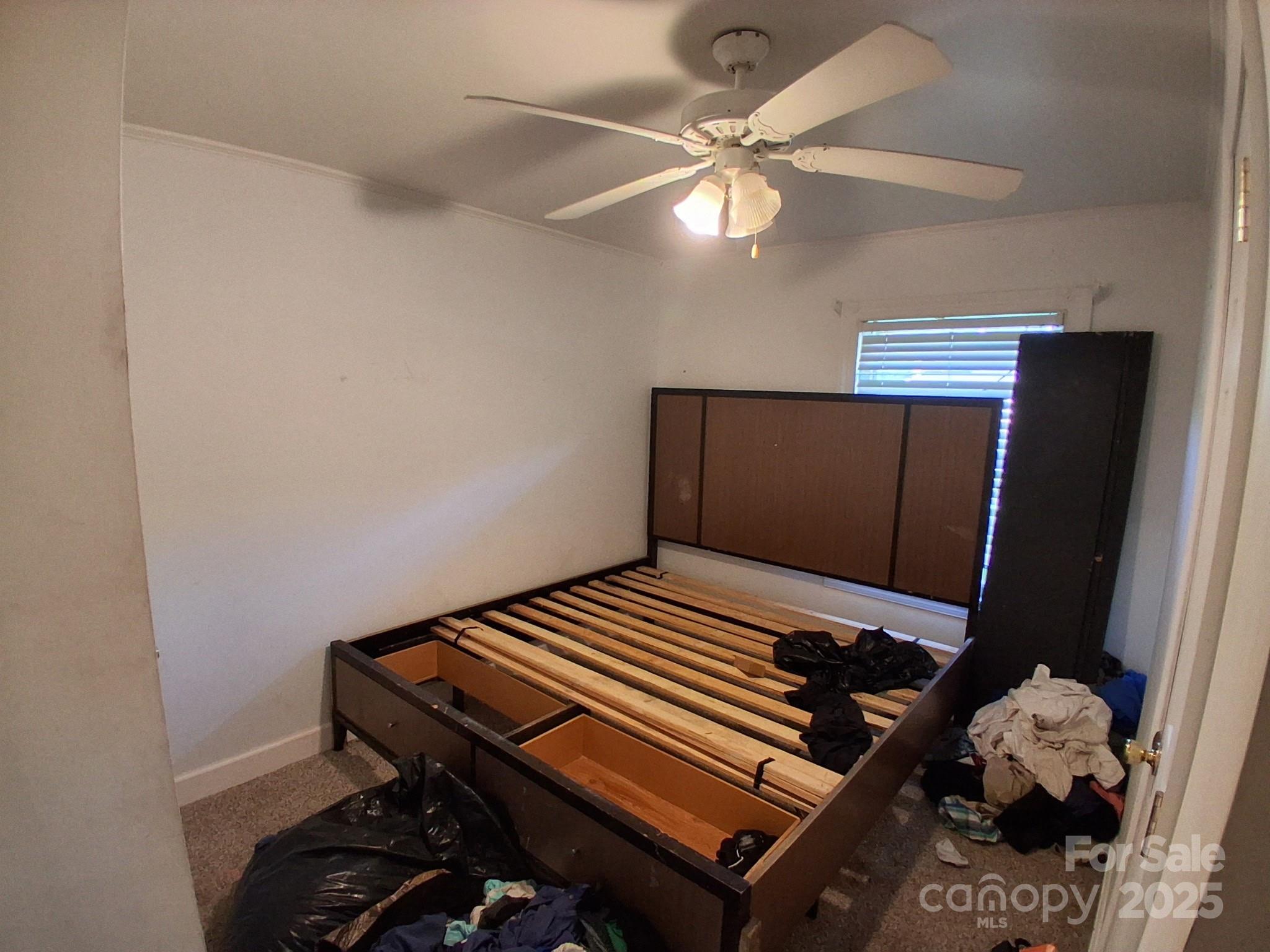 450 Camellia Street Property Photo 16