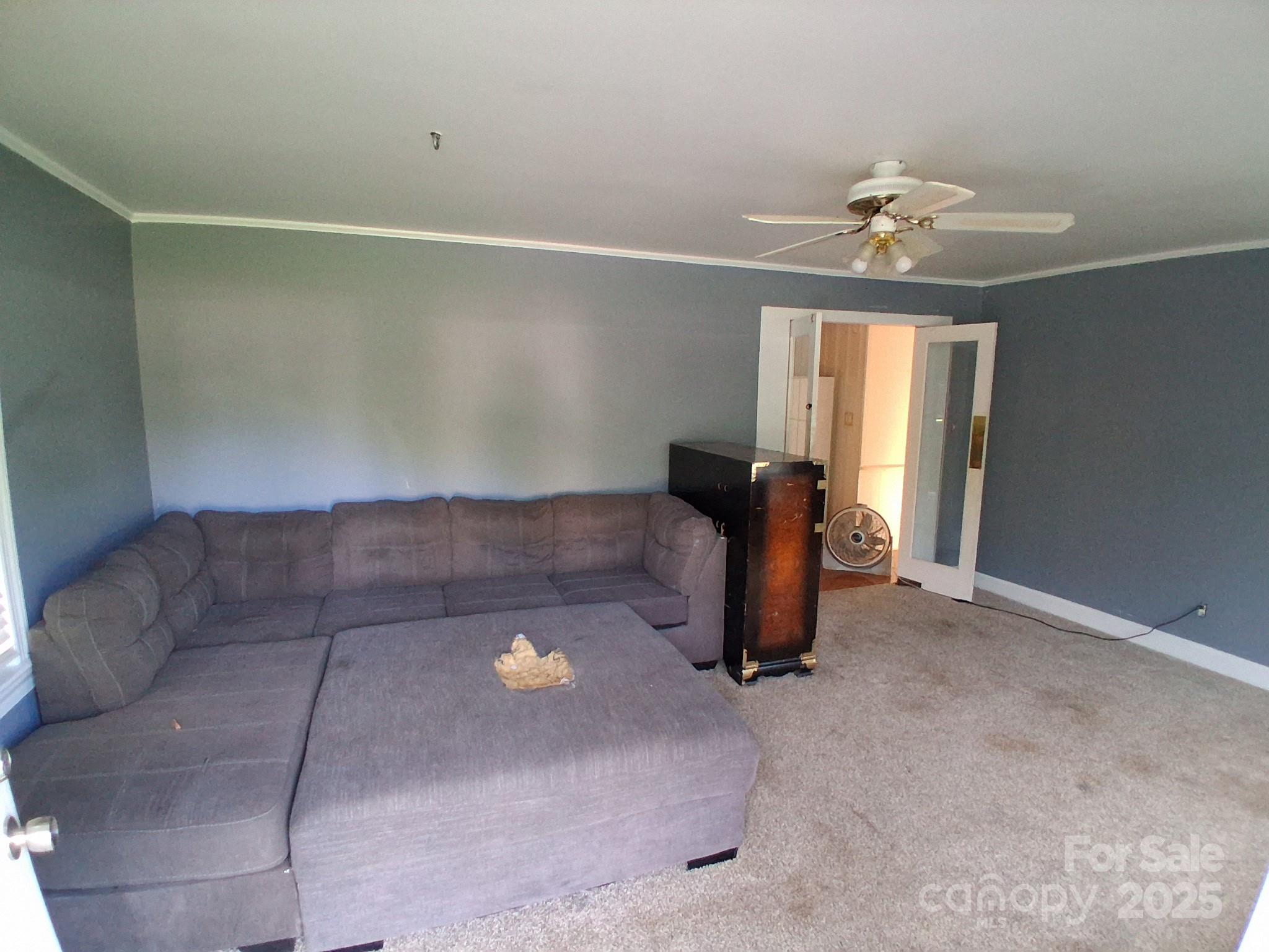 450 Camellia Street Property Photo 17