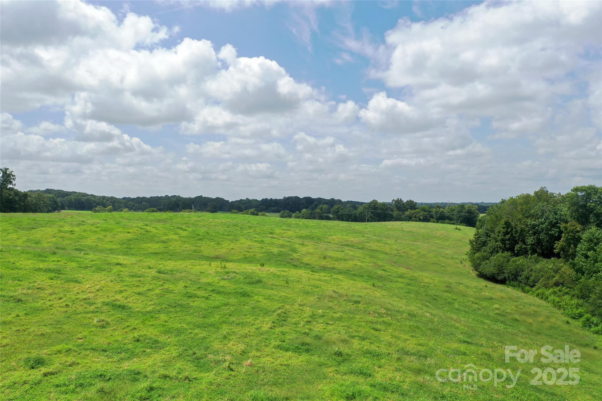 000 Old Goldmine Road I Property Photo 4