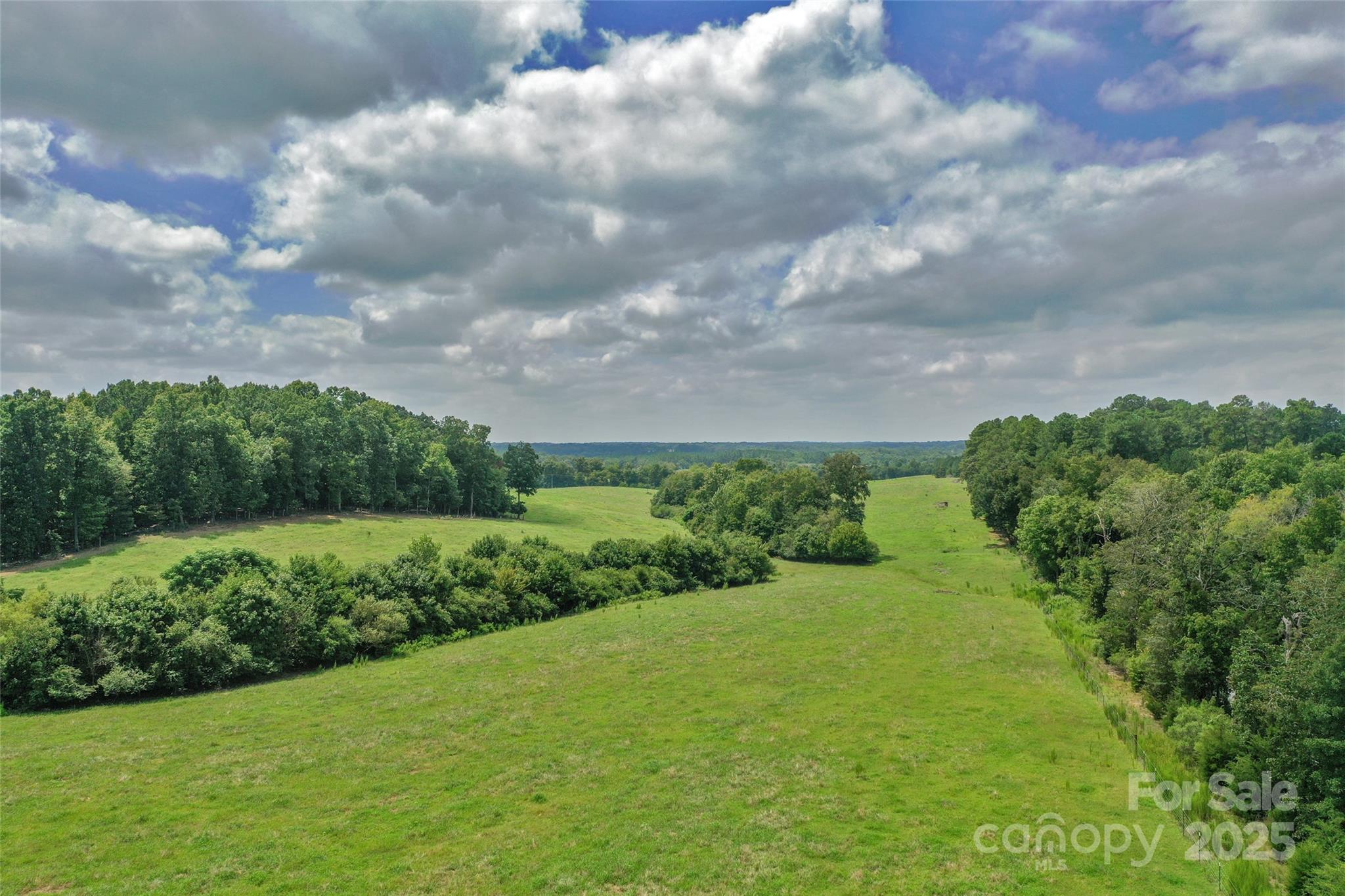 000 Old Goldmine Road I Property Photo 7