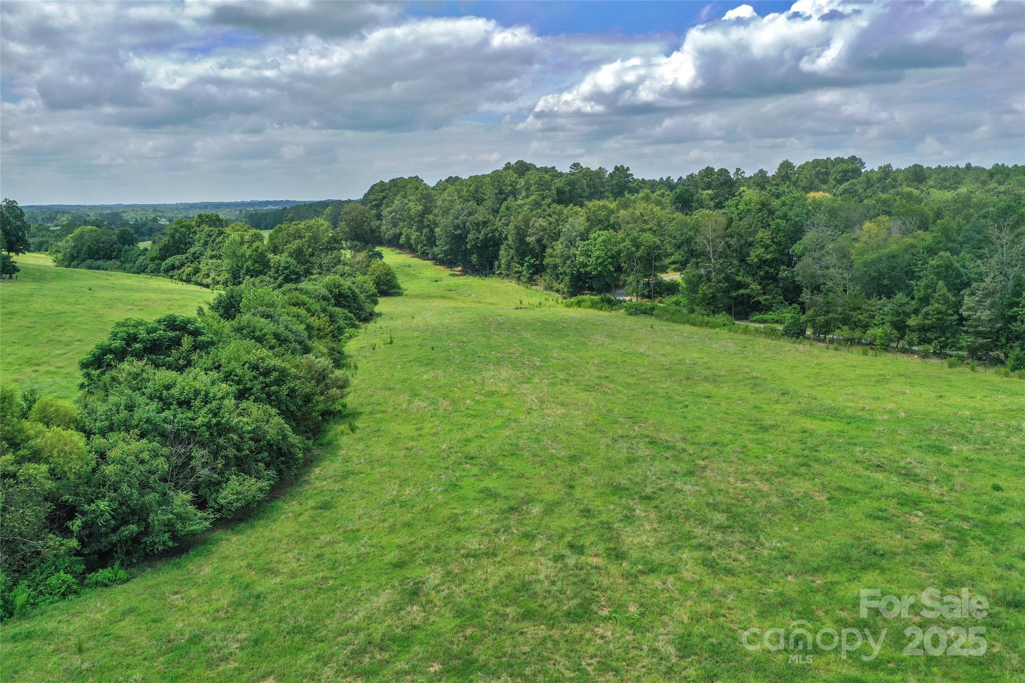 000 Old Goldmine Road I Property Photo 10