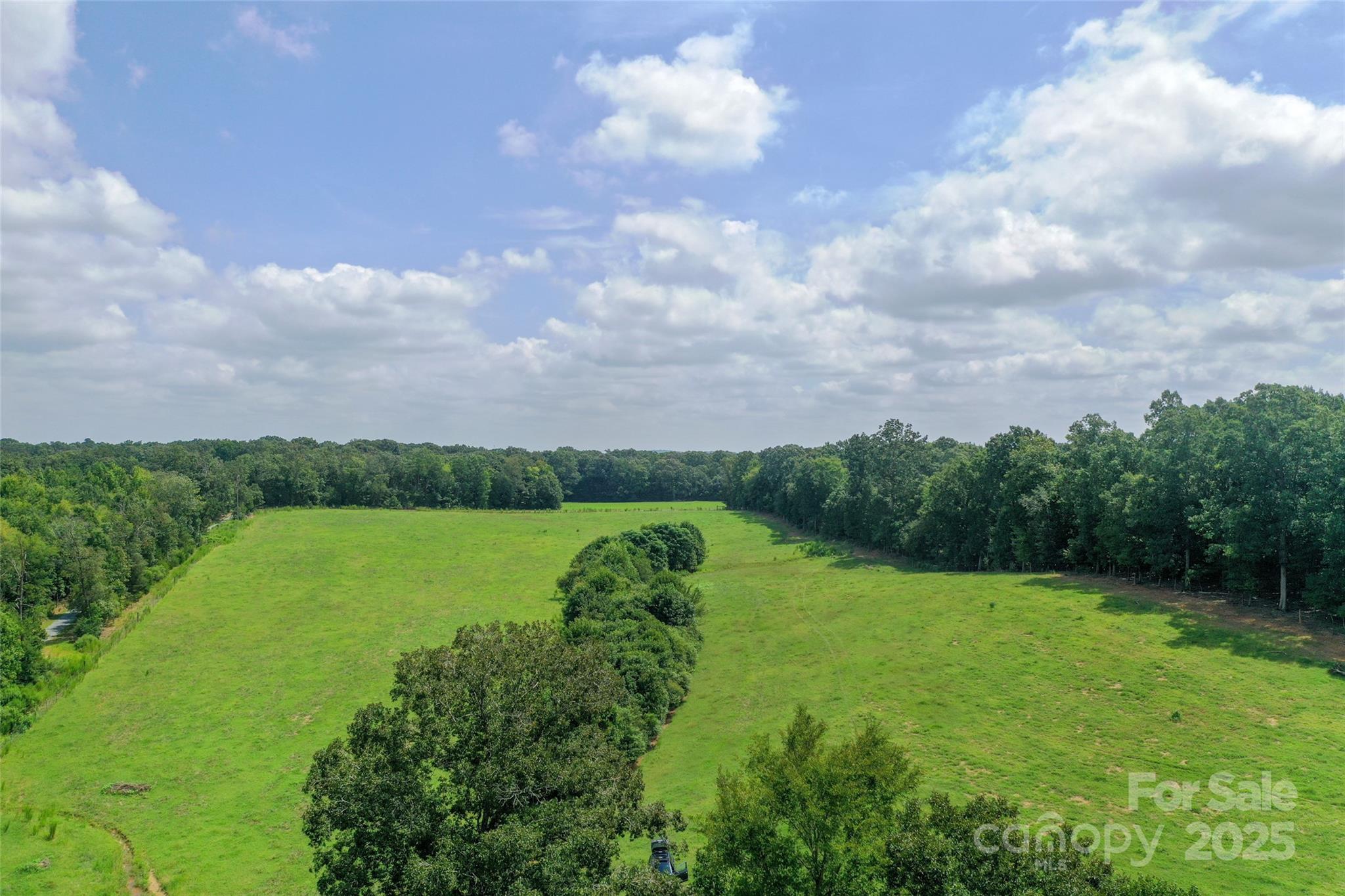 000 Old Goldmine Road I Property Photo 13