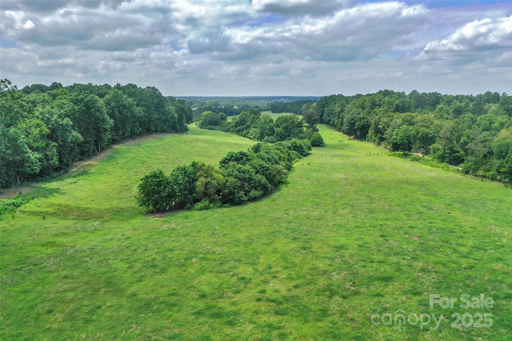 000 Old Goldmine Road I Property Photo 19