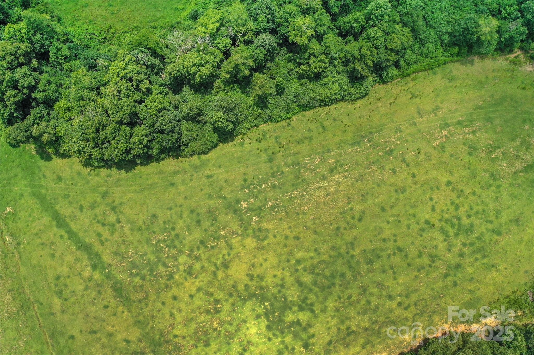 000 Old Goldmine Road I Property Photo 22