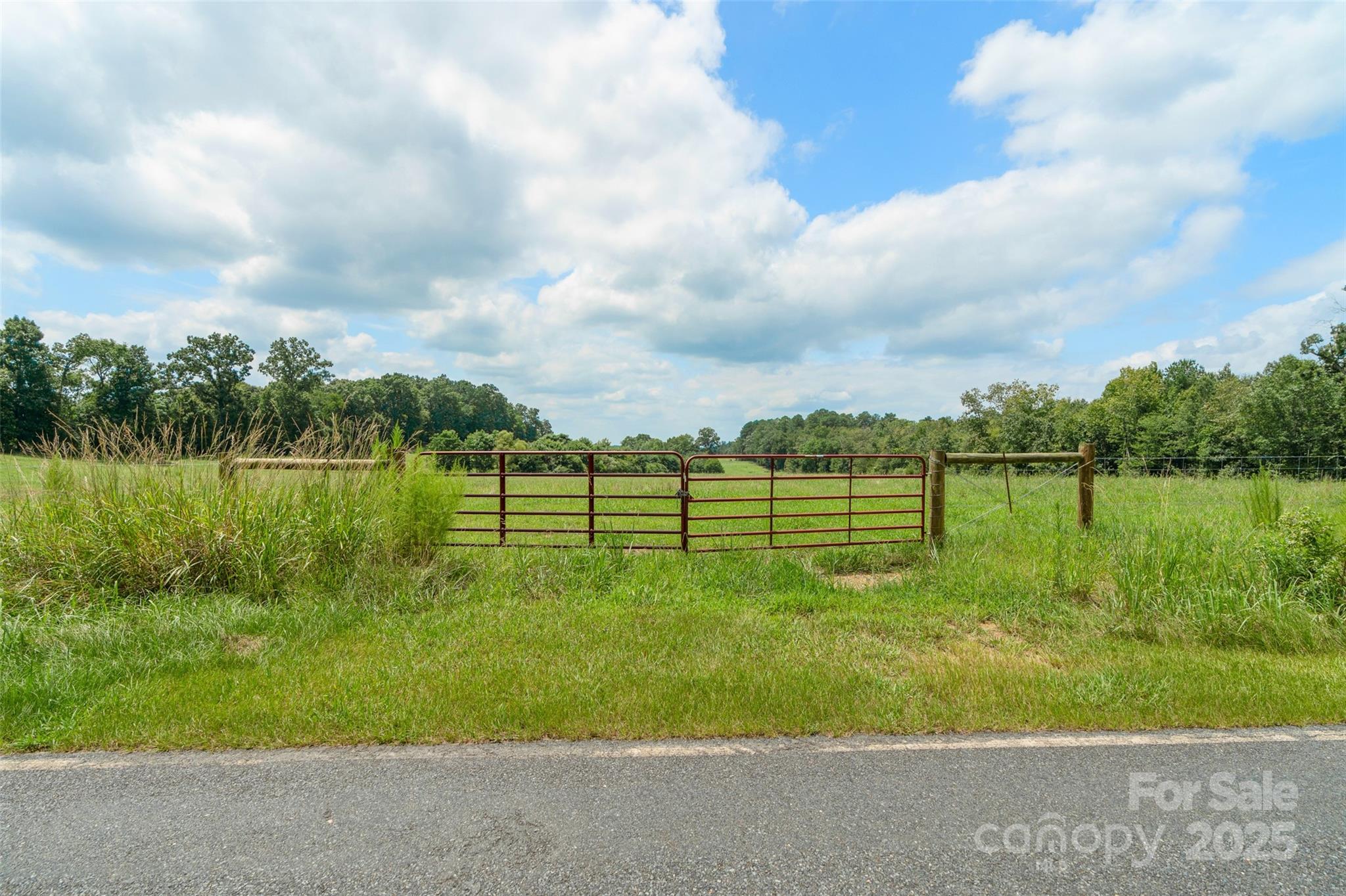 000 Old Goldmine Road I Property Photo 25