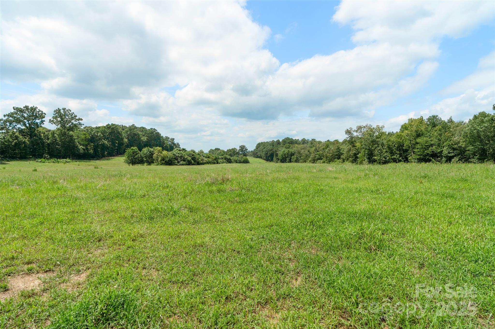 000 Old Goldmine Road I Property Photo 26