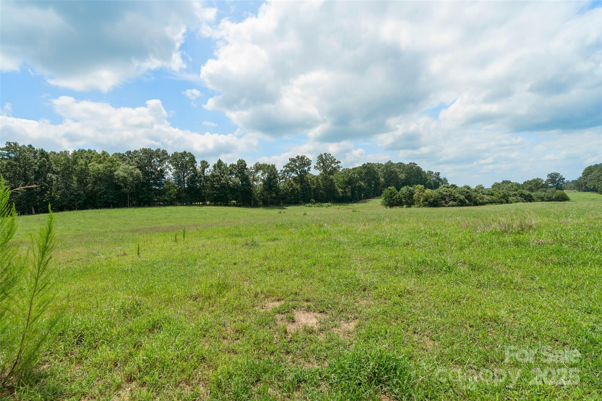 000 Old Goldmine Road I Property Photo 27