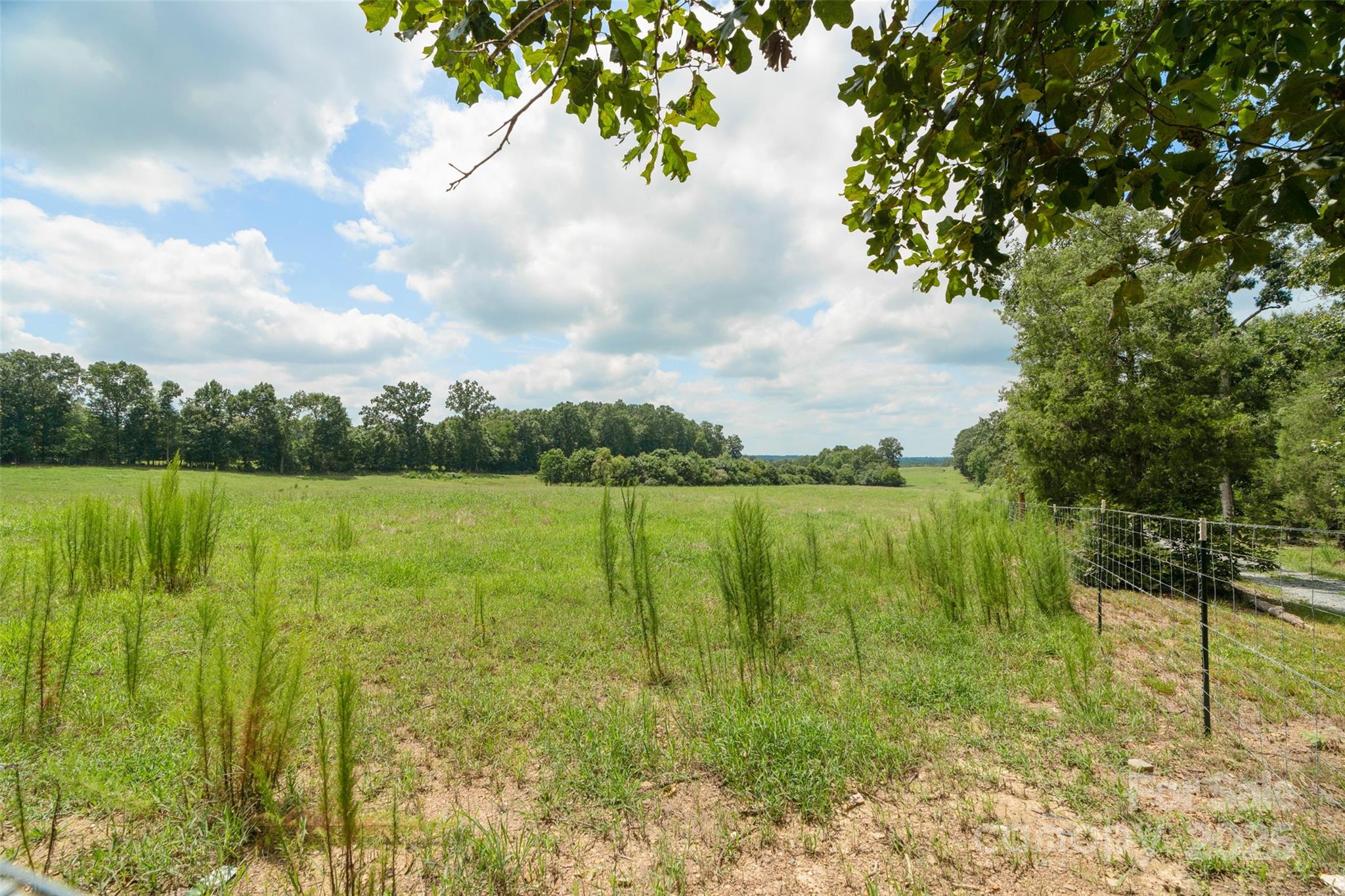 000 Old Goldmine Road I Property Photo 28