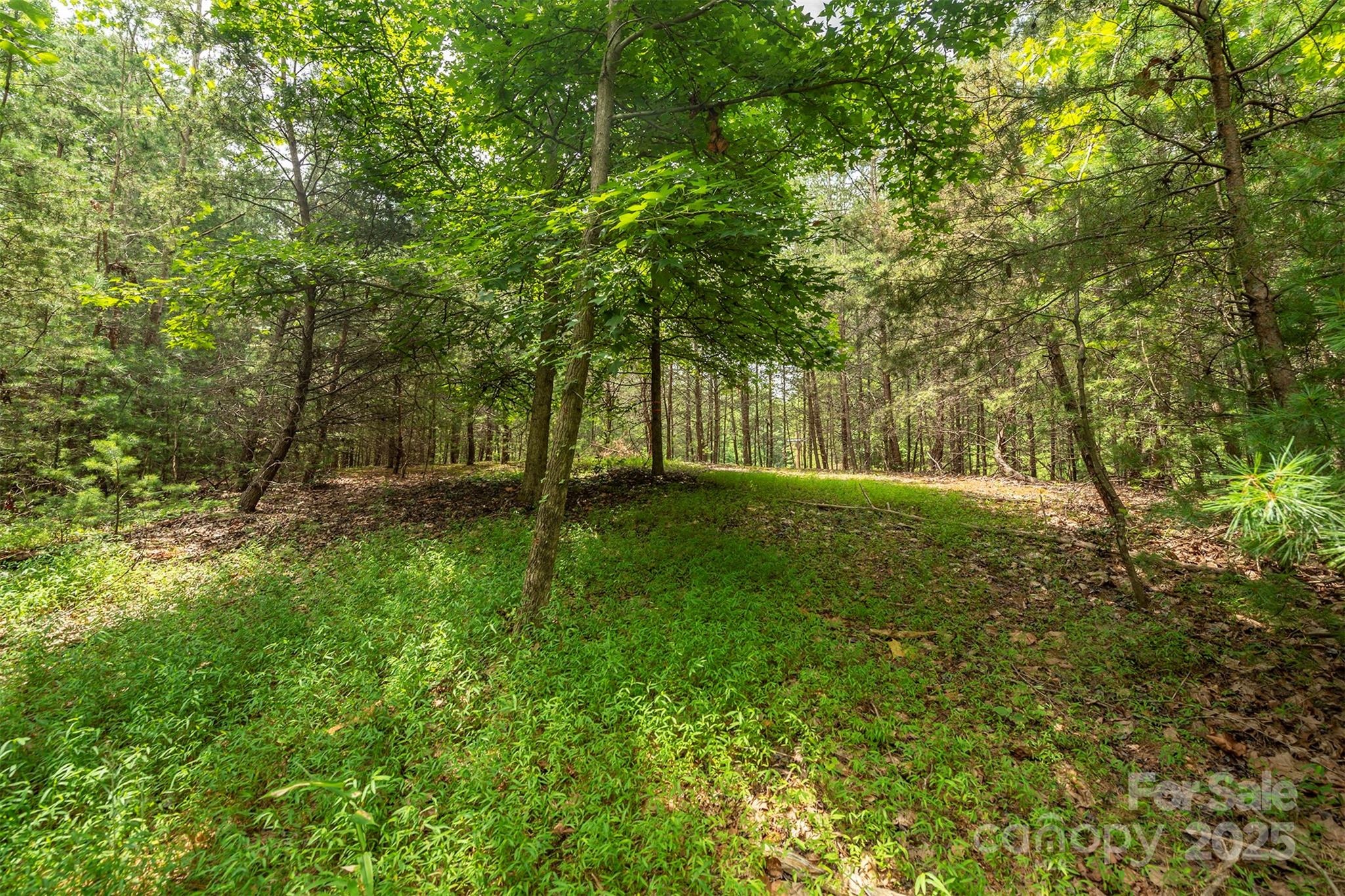 Lot 46 Black Forest Drive Property Photo 1