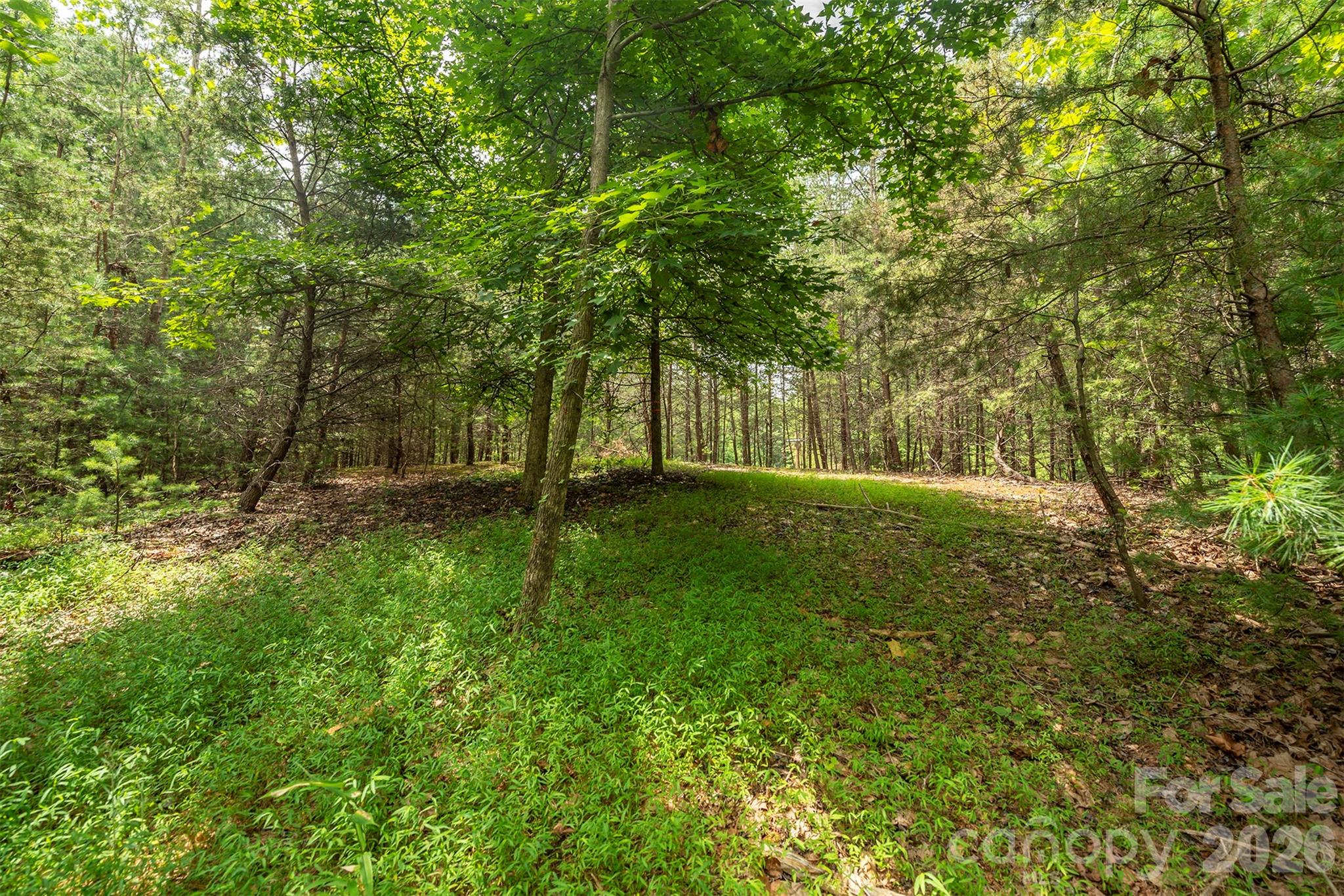Lot 46 Black Forest Drive Property Photo 1