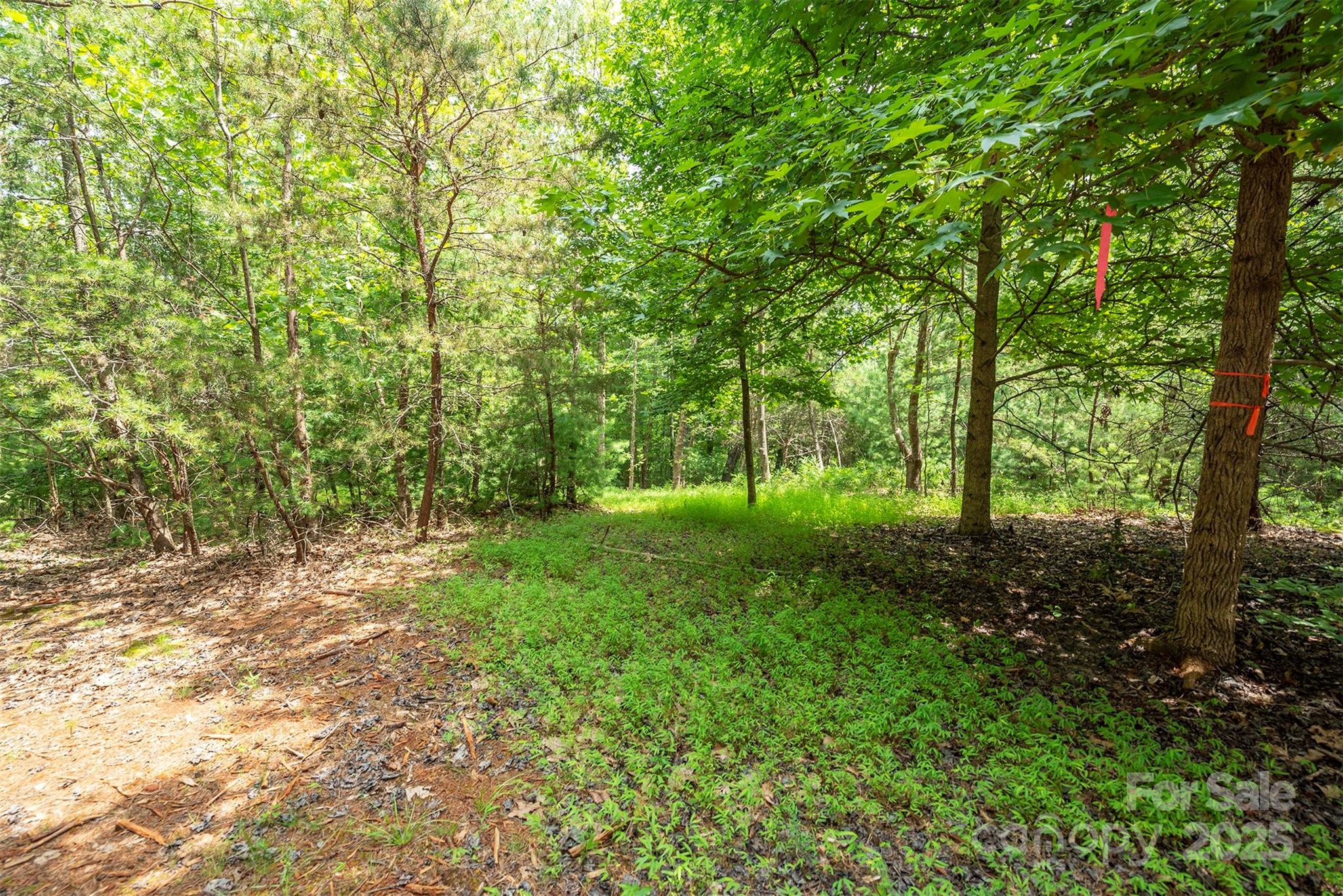Lot 46 Black Forest Drive Property Photo 2