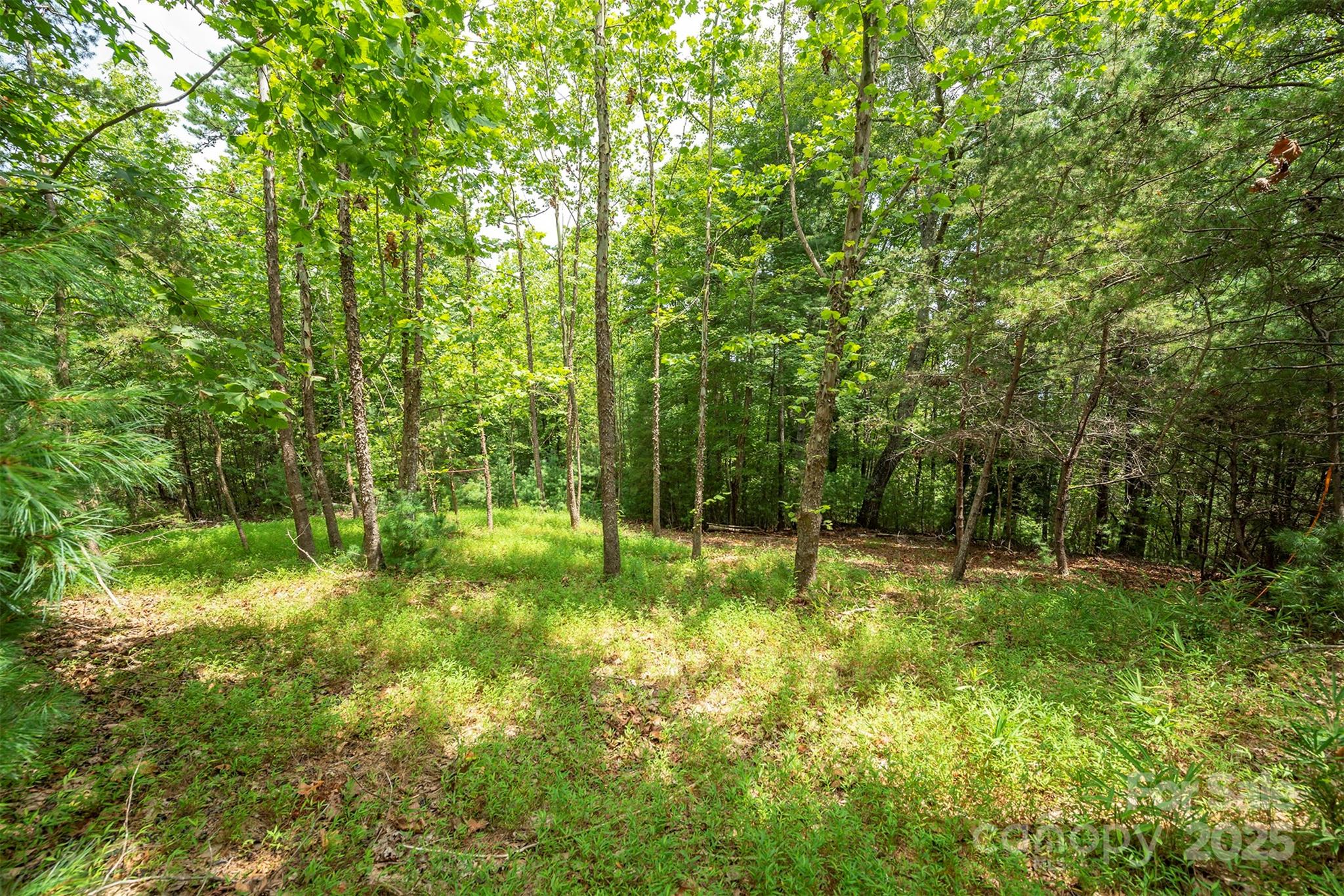 Lot 46 Black Forest Drive Property Photo 3