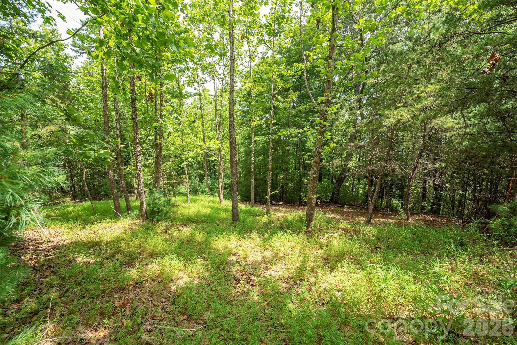 Lot 46 Black Forest Drive Property Photo 3