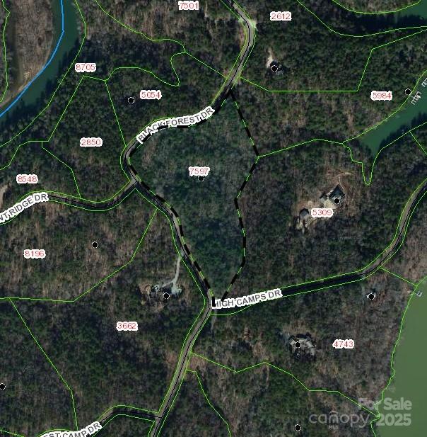 Lot 46 Black Forest Drive Property Photo 5