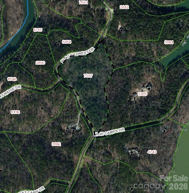 Lot 46 Black Forest Drive Property Photo 5