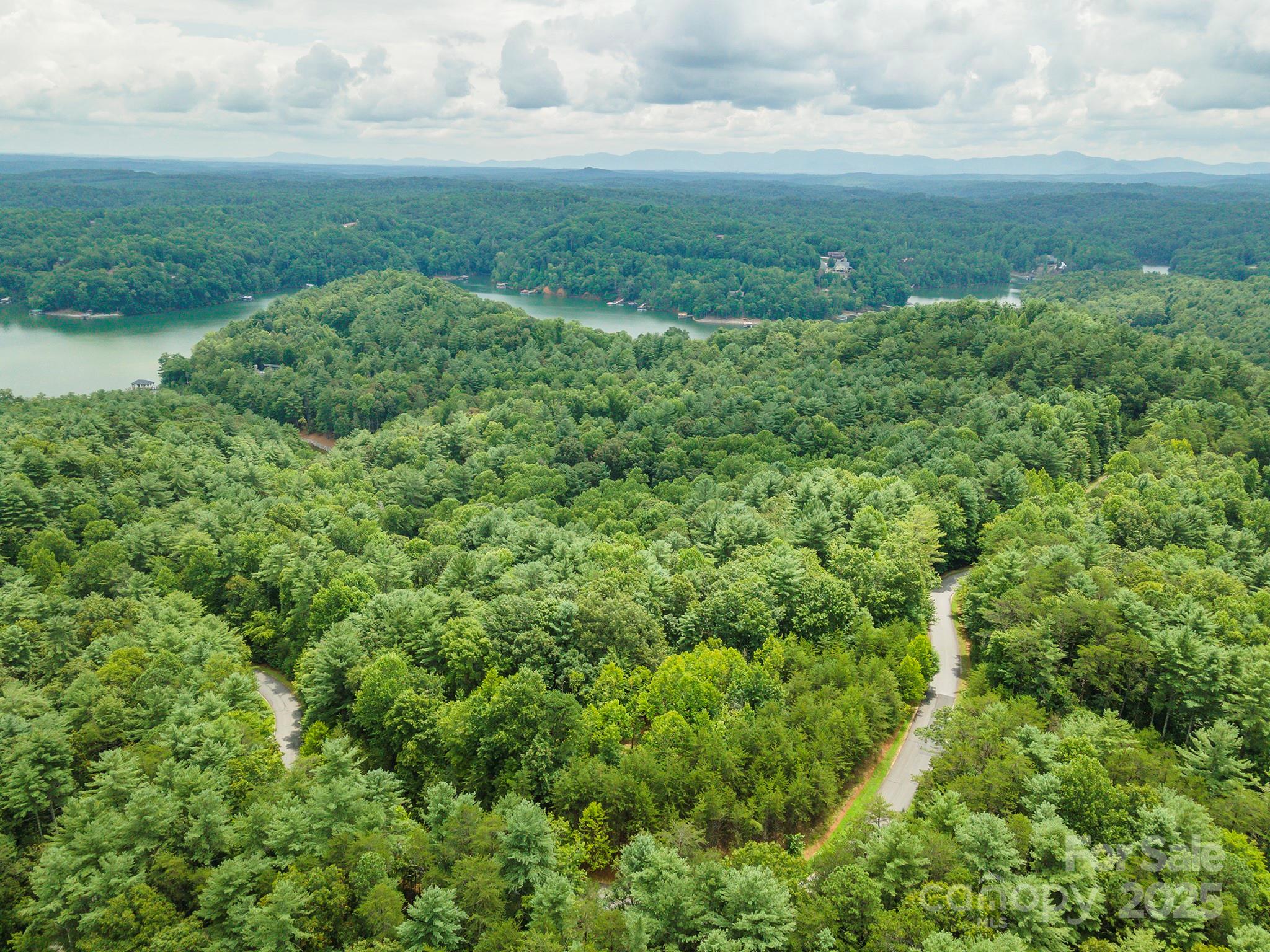 Lot 46 Black Forest Drive Property Photo 6