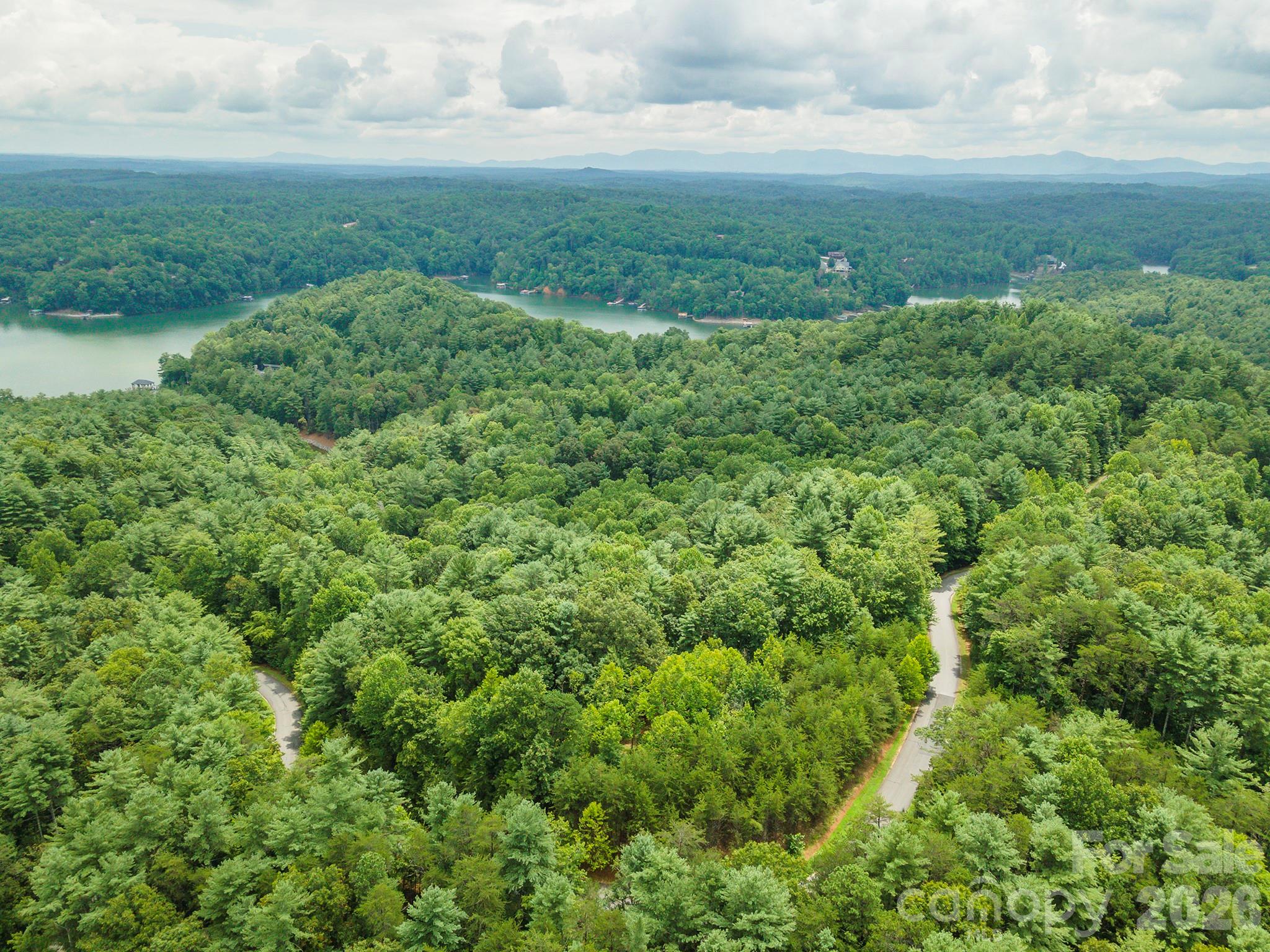 Lot 46 Black Forest Drive Property Photo 6