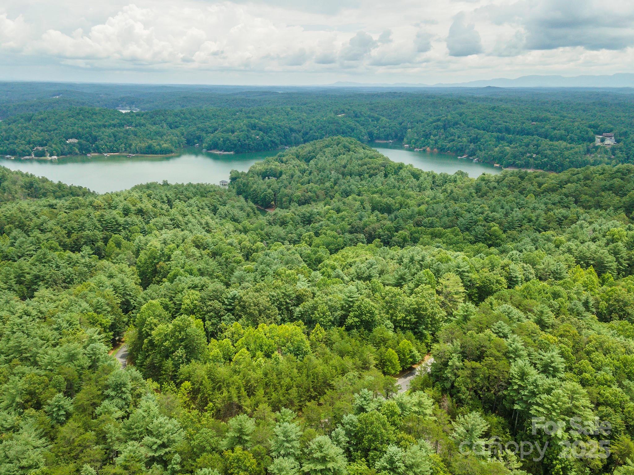 Lot 46 Black Forest Drive Property Photo 7