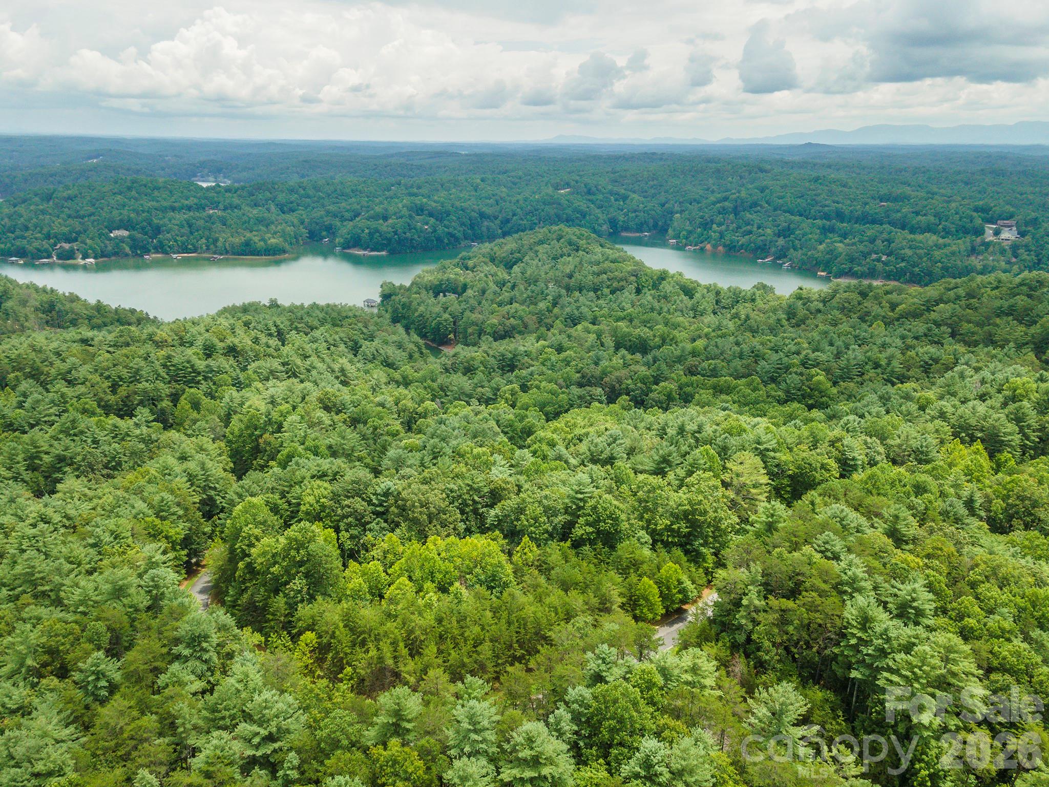 Lot 46 Black Forest Drive Property Photo 7