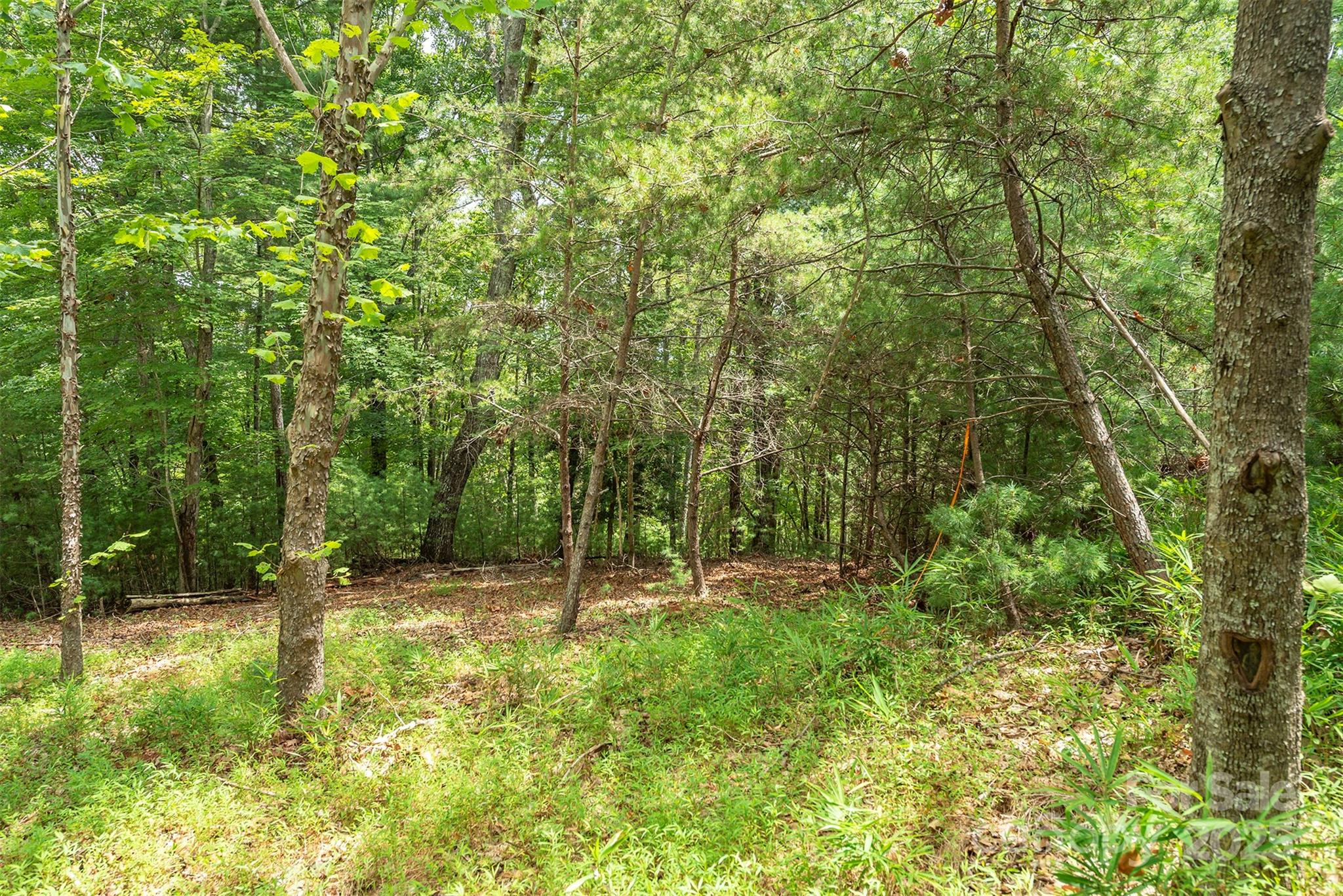 Lot 46 Black Forest Drive Property Photo 8